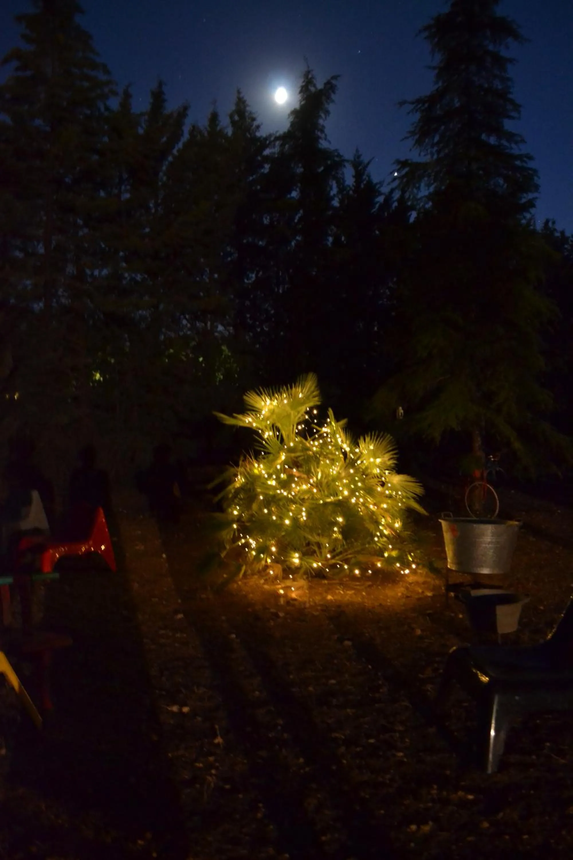 Night in B&B Le Stagioni