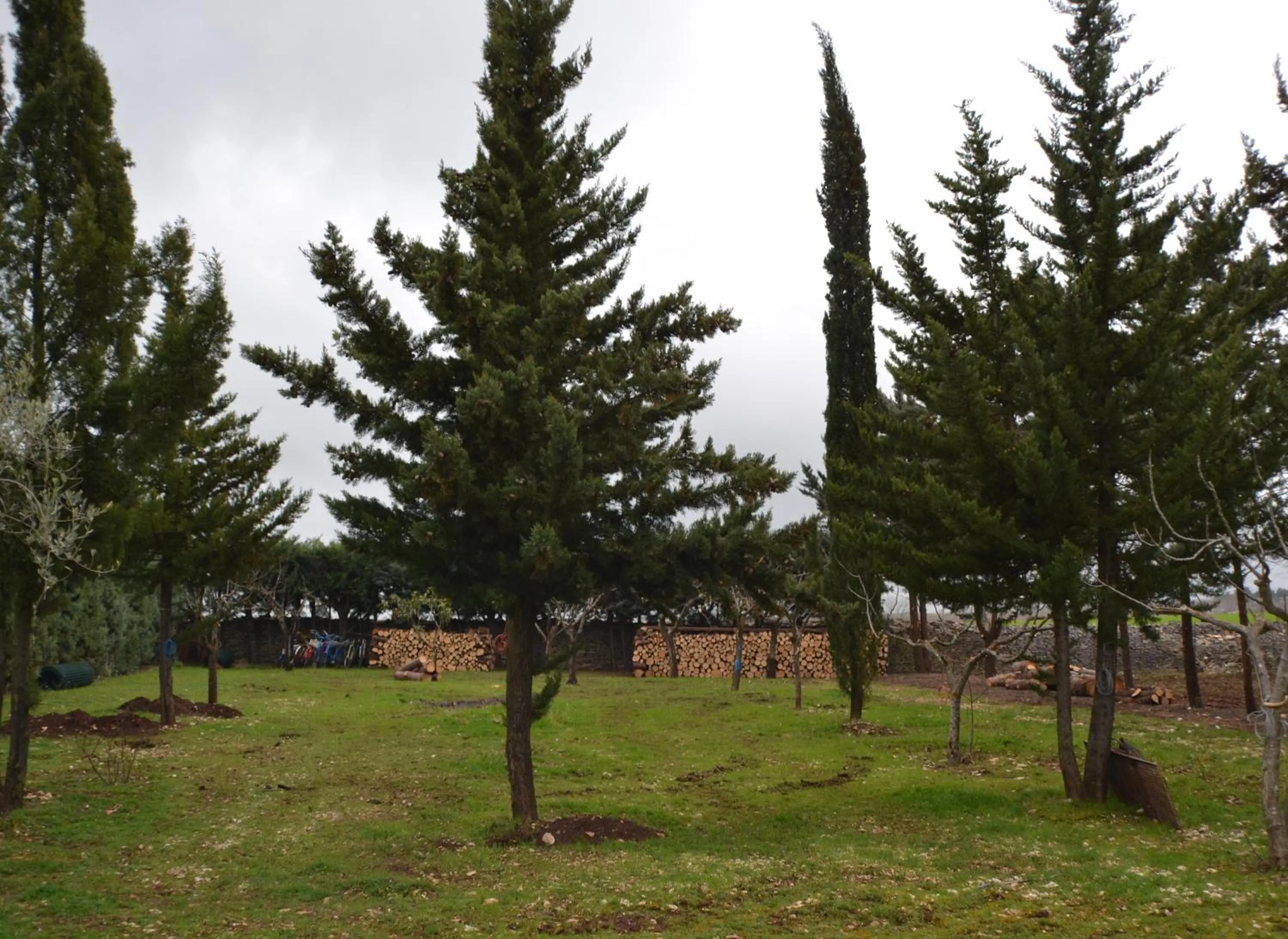 Garden in B&B Le Stagioni