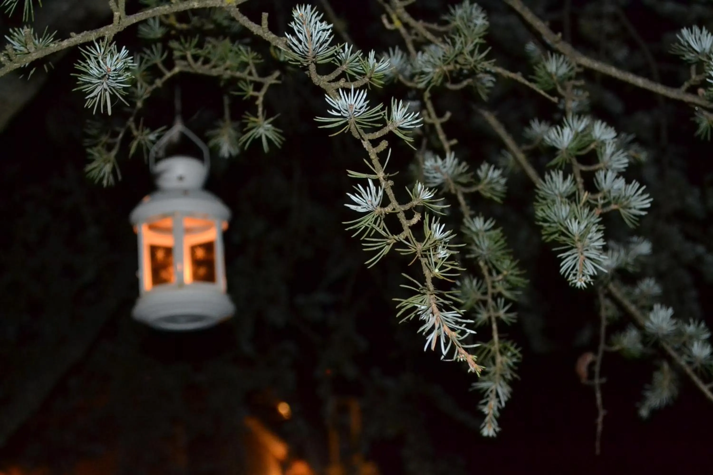 Decorative detail in B&B Le Stagioni