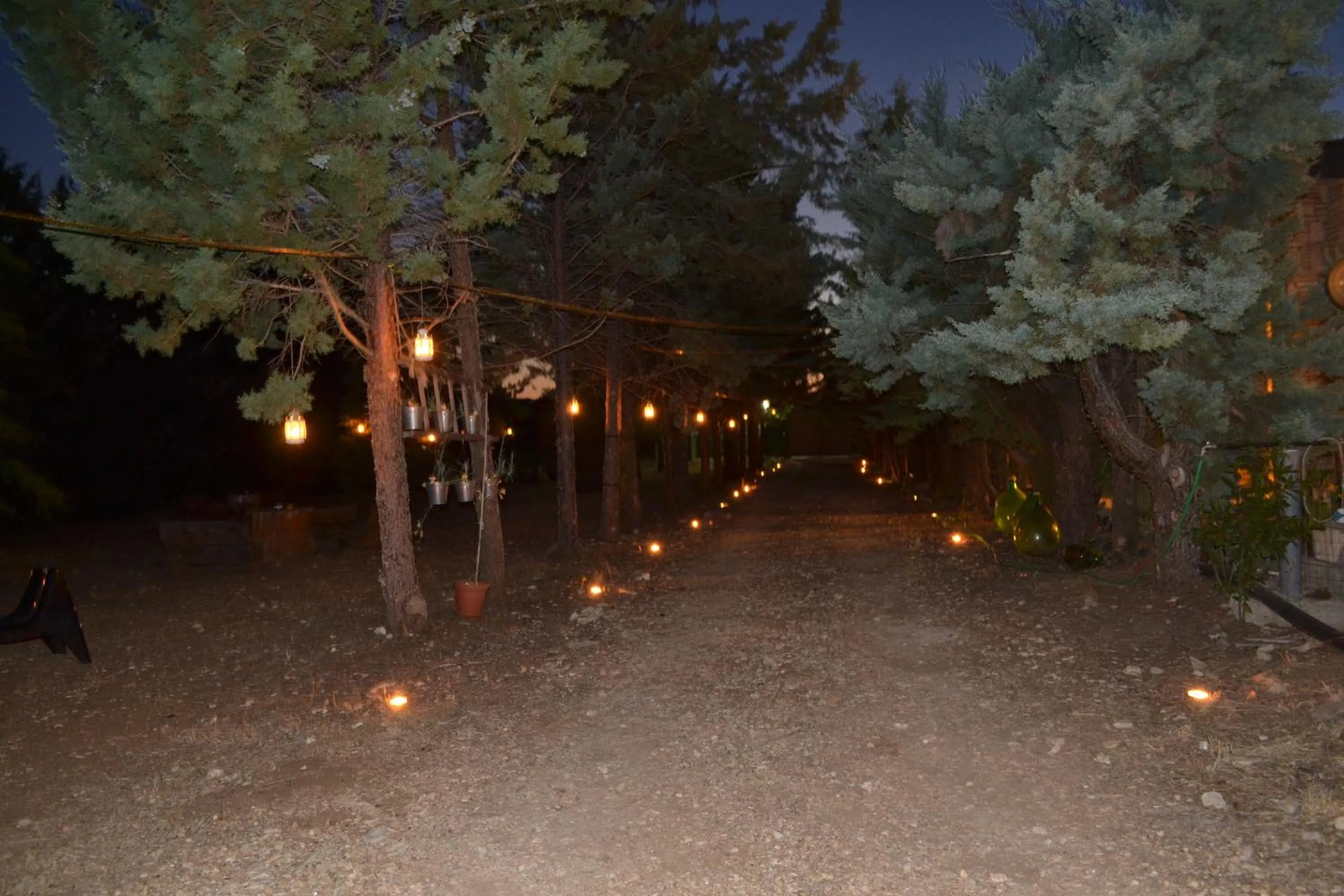 Garden in B&B Le Stagioni