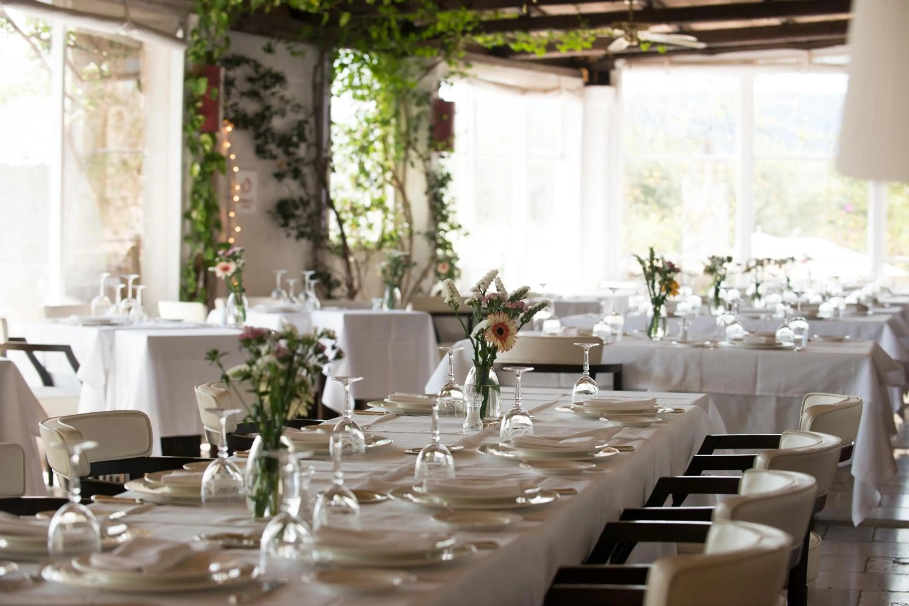Restaurant/places to eat in Masseria Torre Coccaro