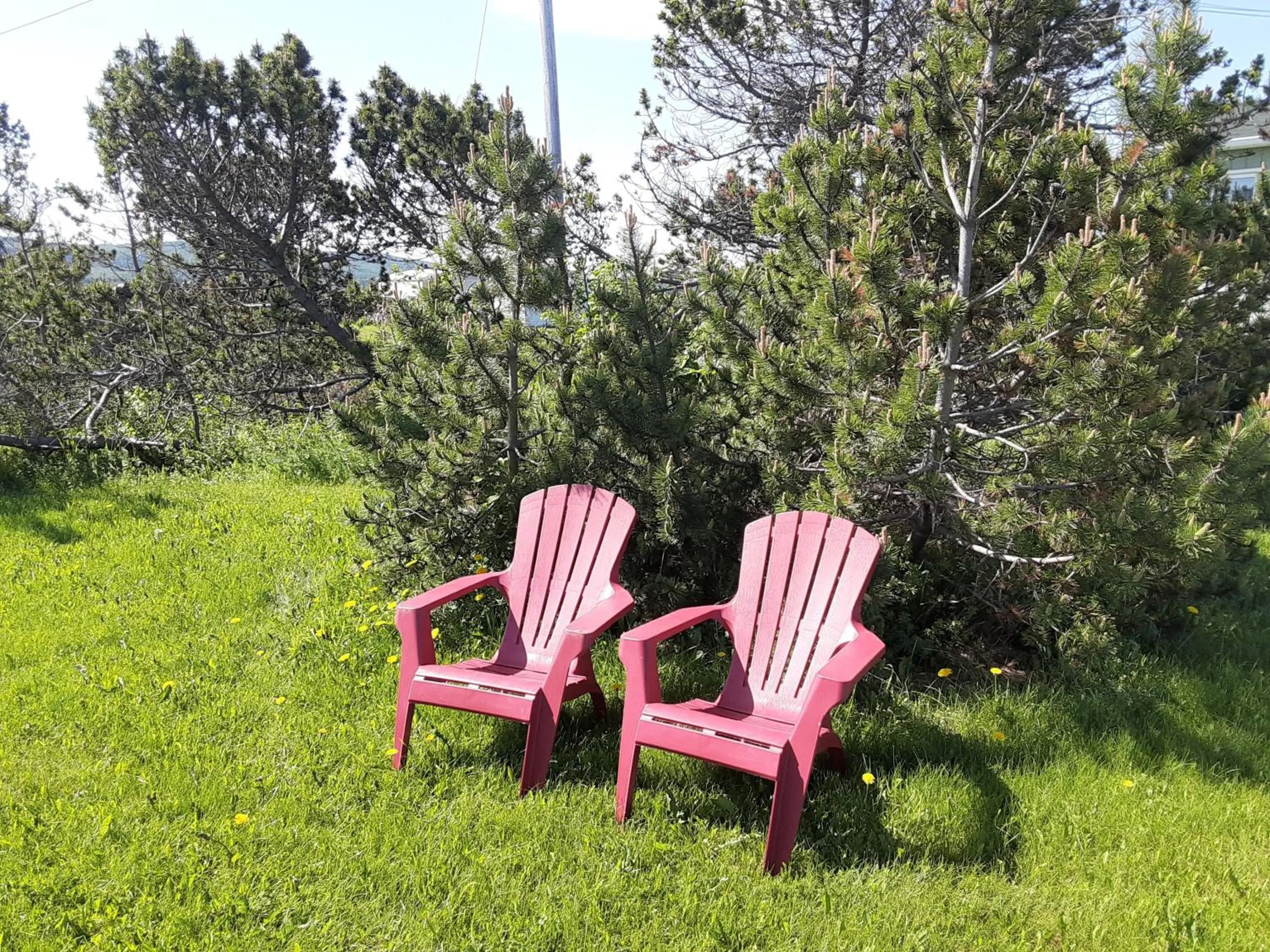 Le Pirate Motel et Camping