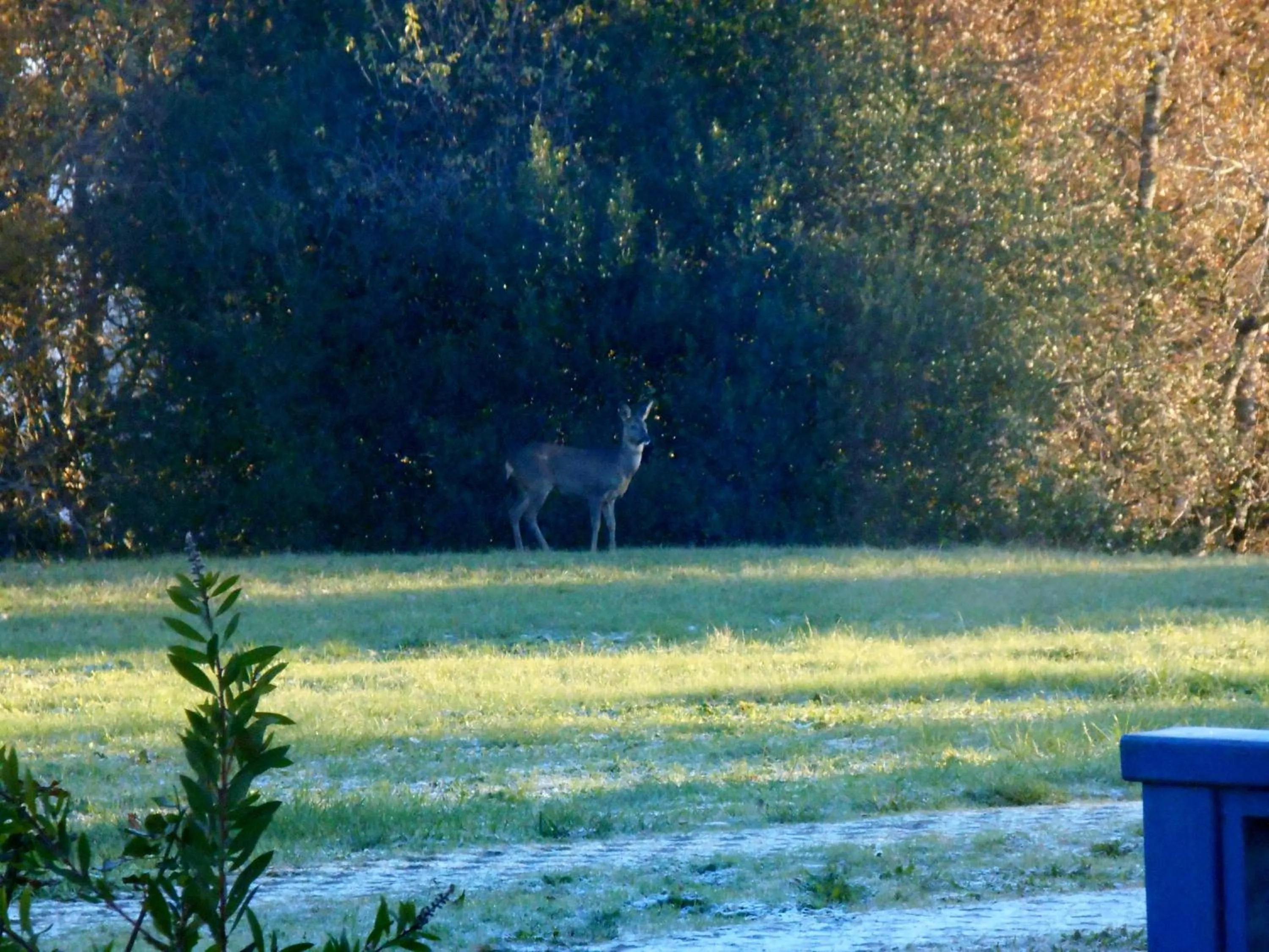 Natural landscape in Le Colombier