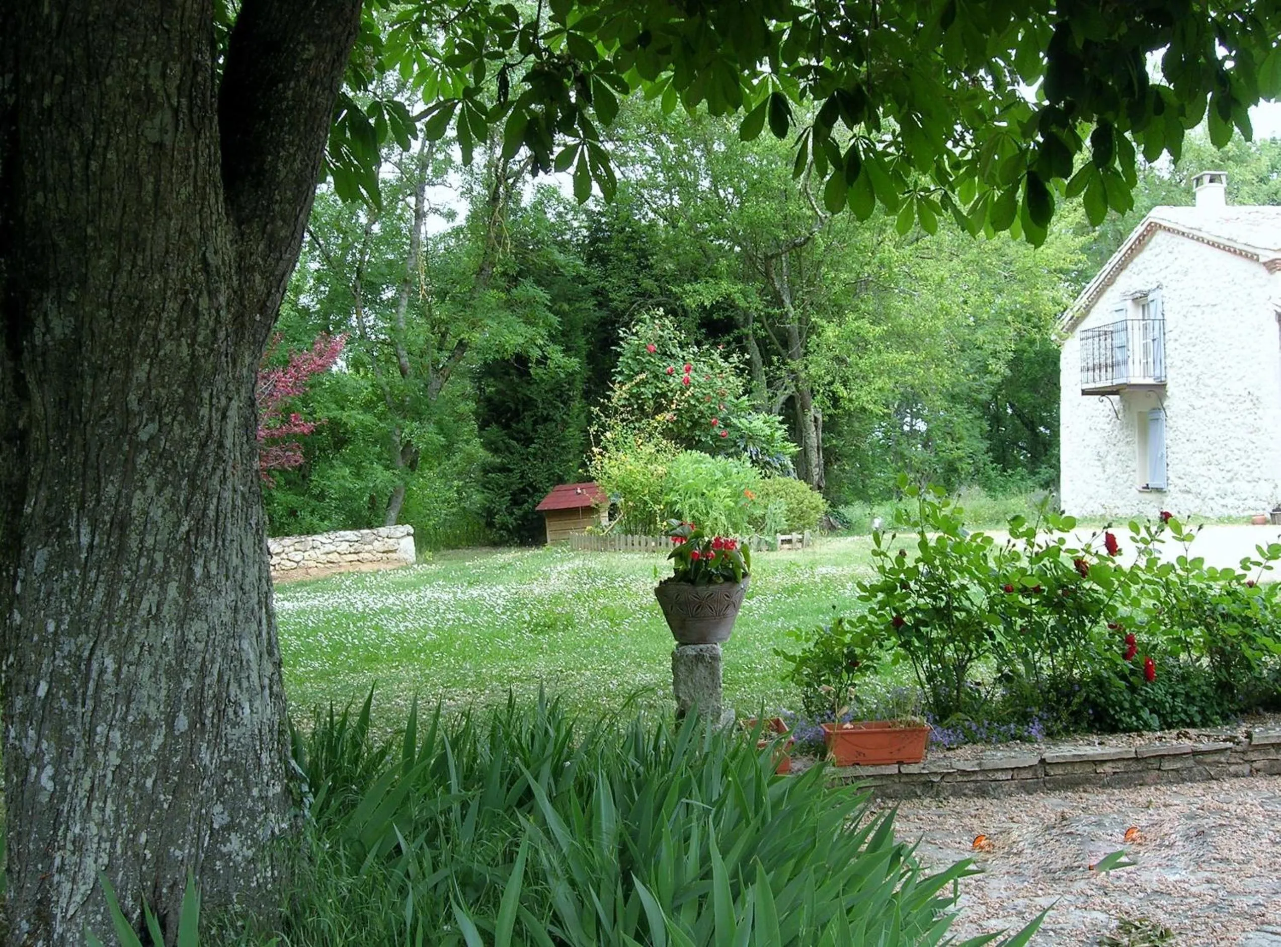 Garden in Le Colombier