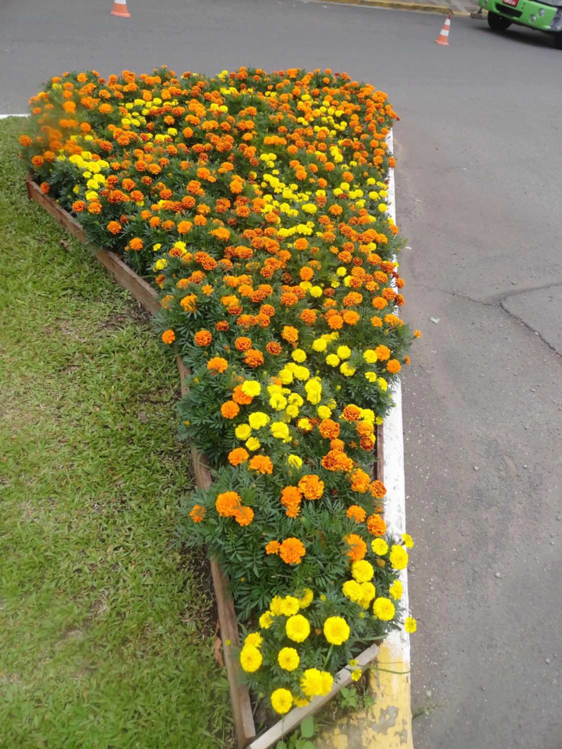 Spring in Di Capri Hotel