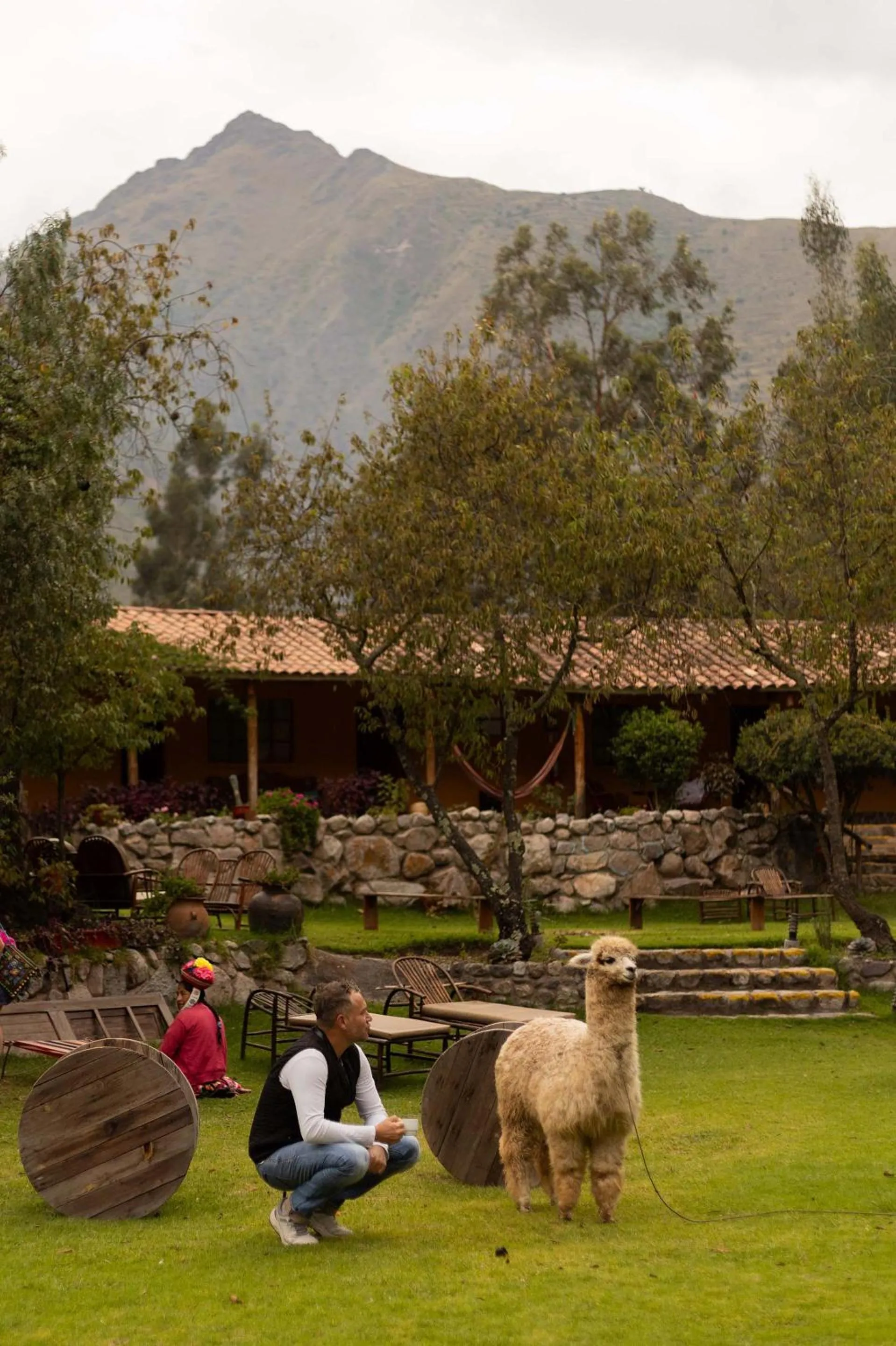 Pets in Andean Wings Valley
