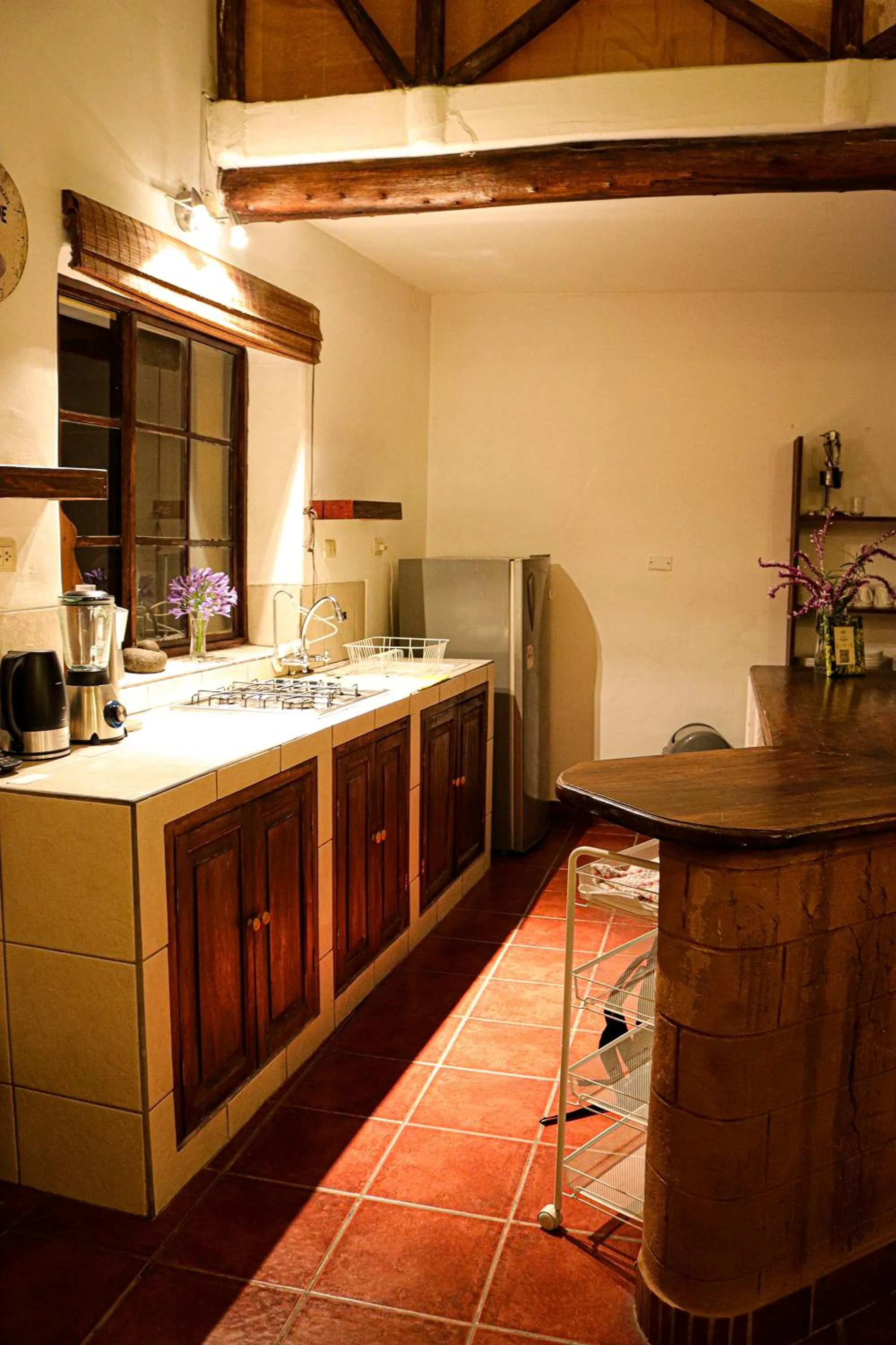Kitchen or kitchenette in Andean Wings Valley