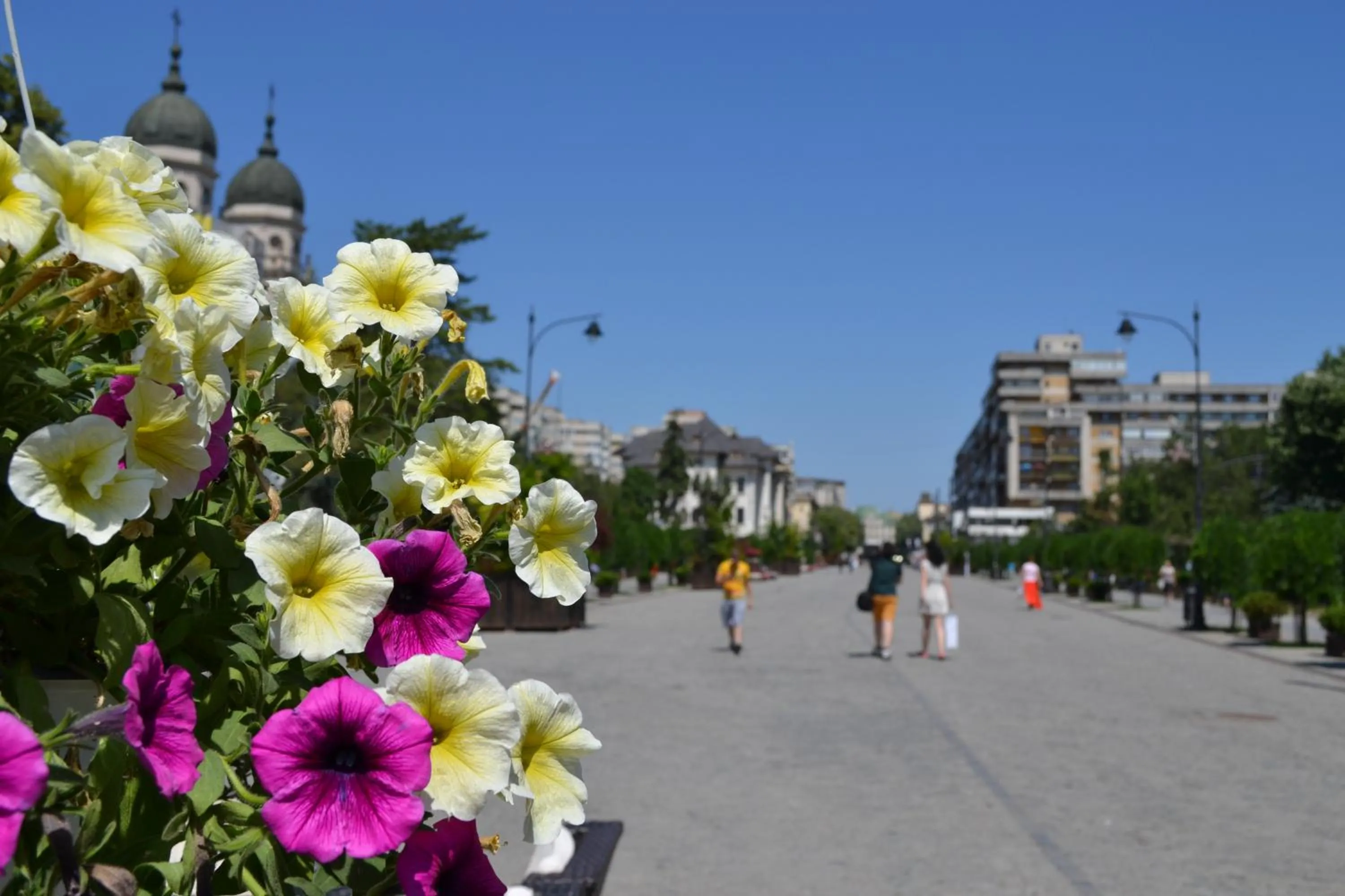 Nearby landmark in Casa de Oaspeți Sfântul Nicolae