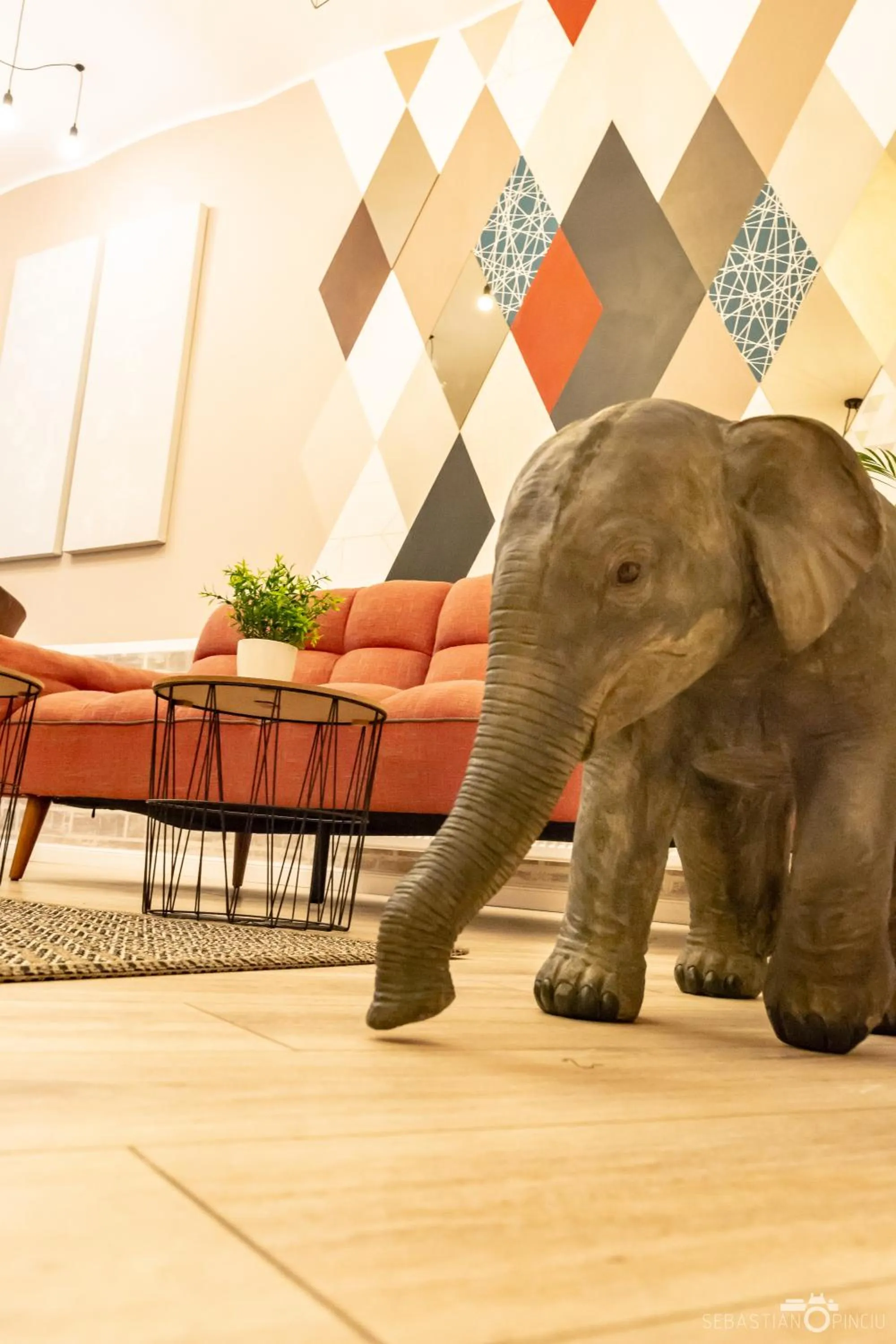 Communal lounge/ TV room in Rabbit Hole