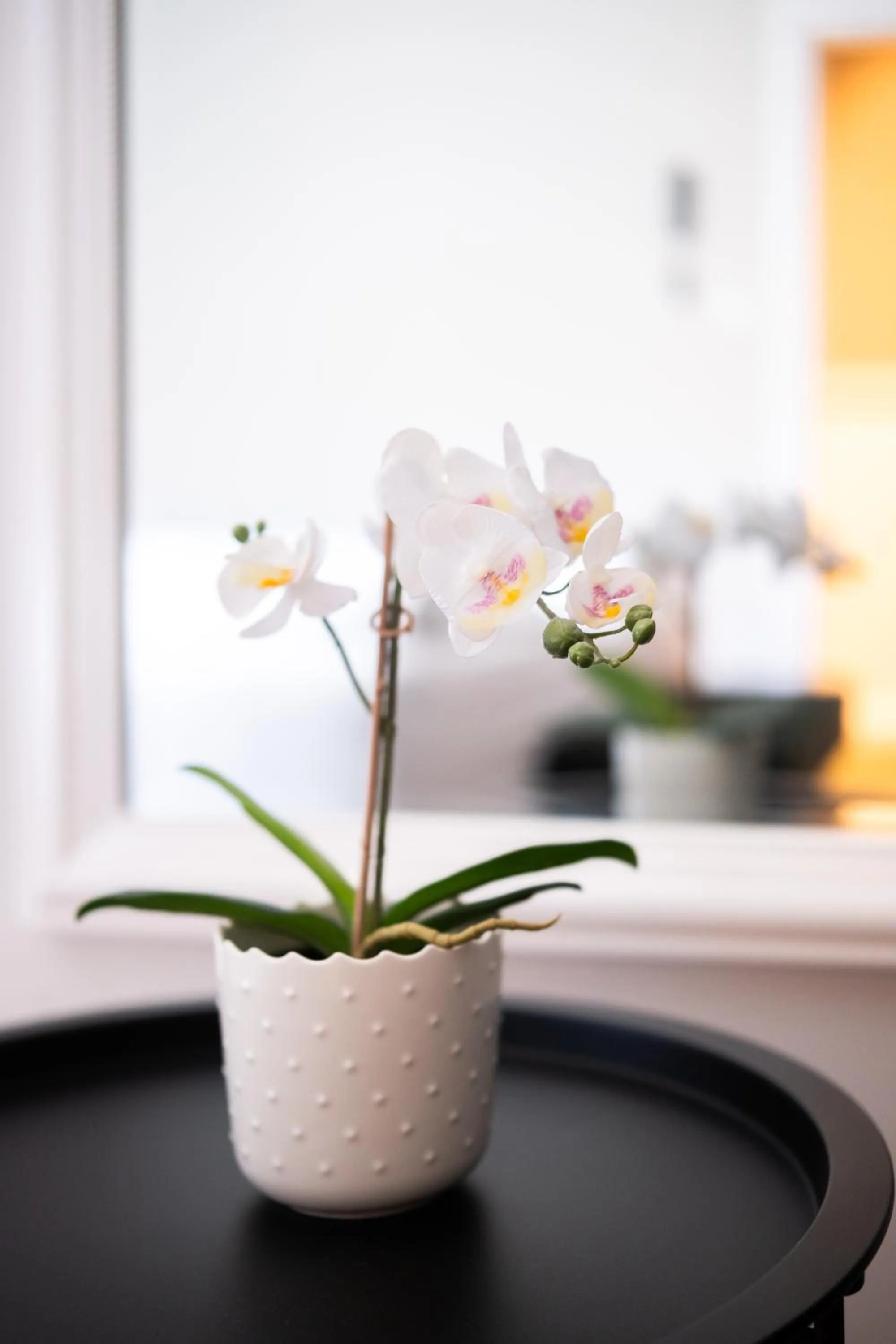 Bedroom in Casablanca Boutique Bed&Breakfast