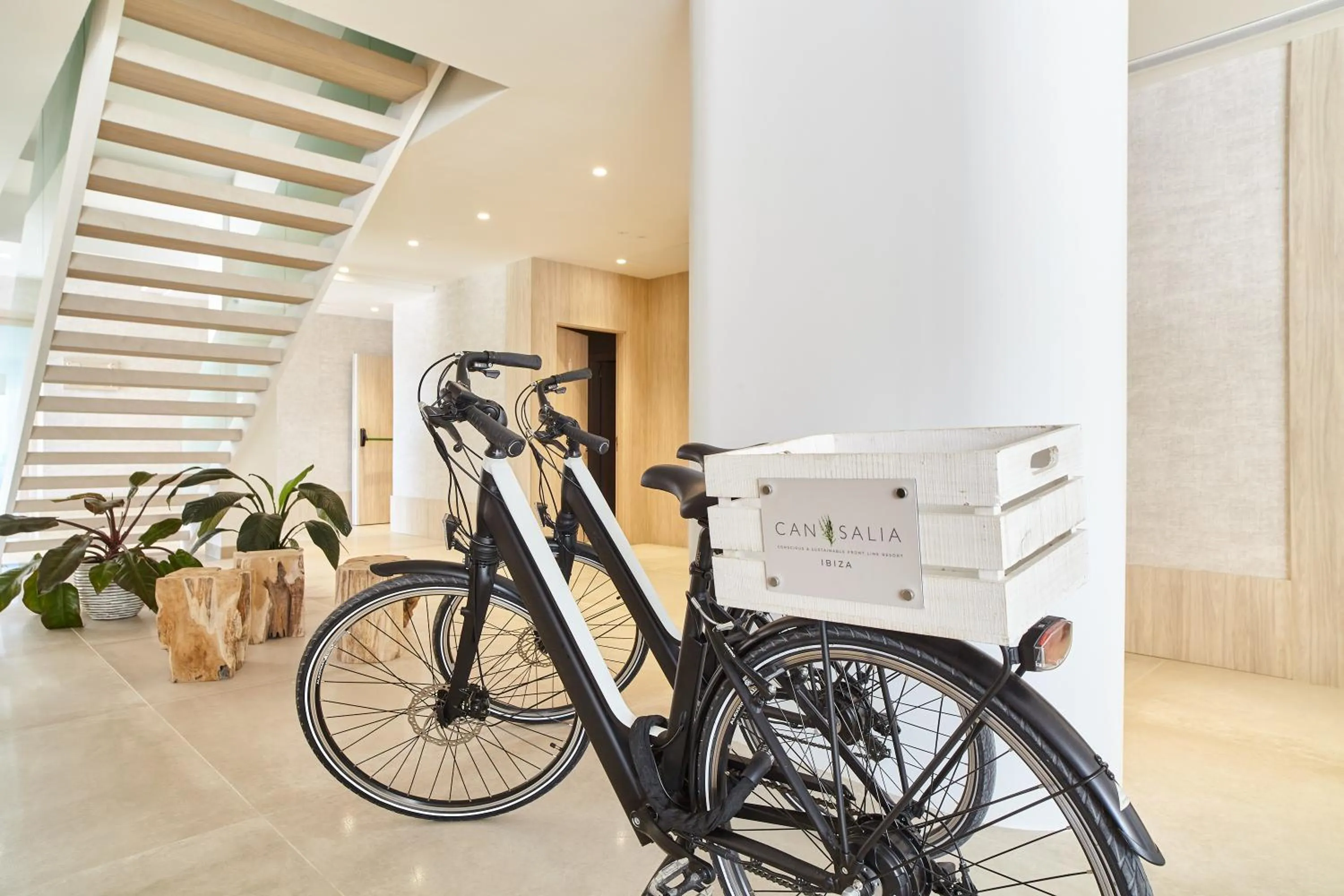 Activities in Can Salia