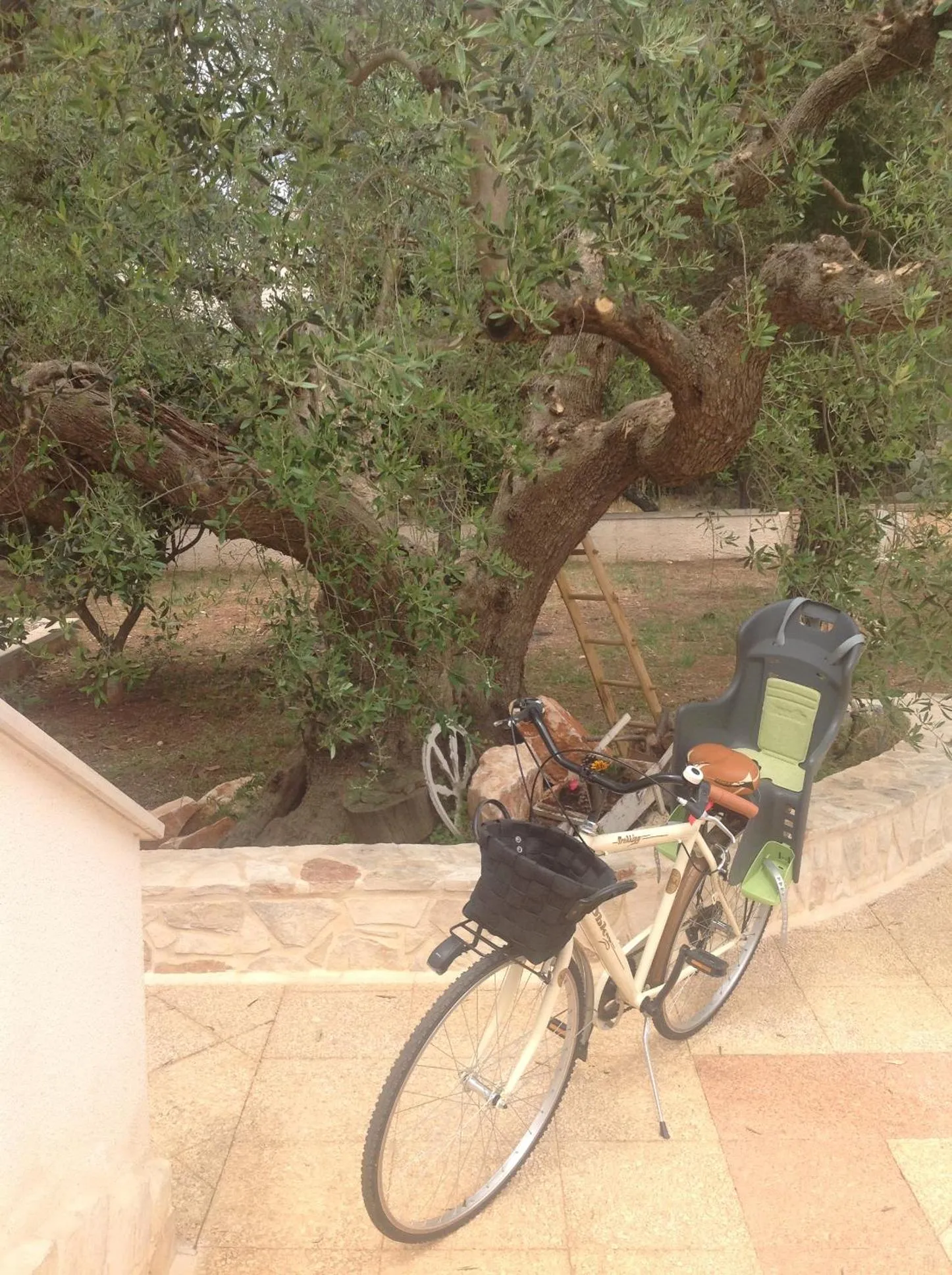 Decorative detail in B&B Villa Nonna Maria
