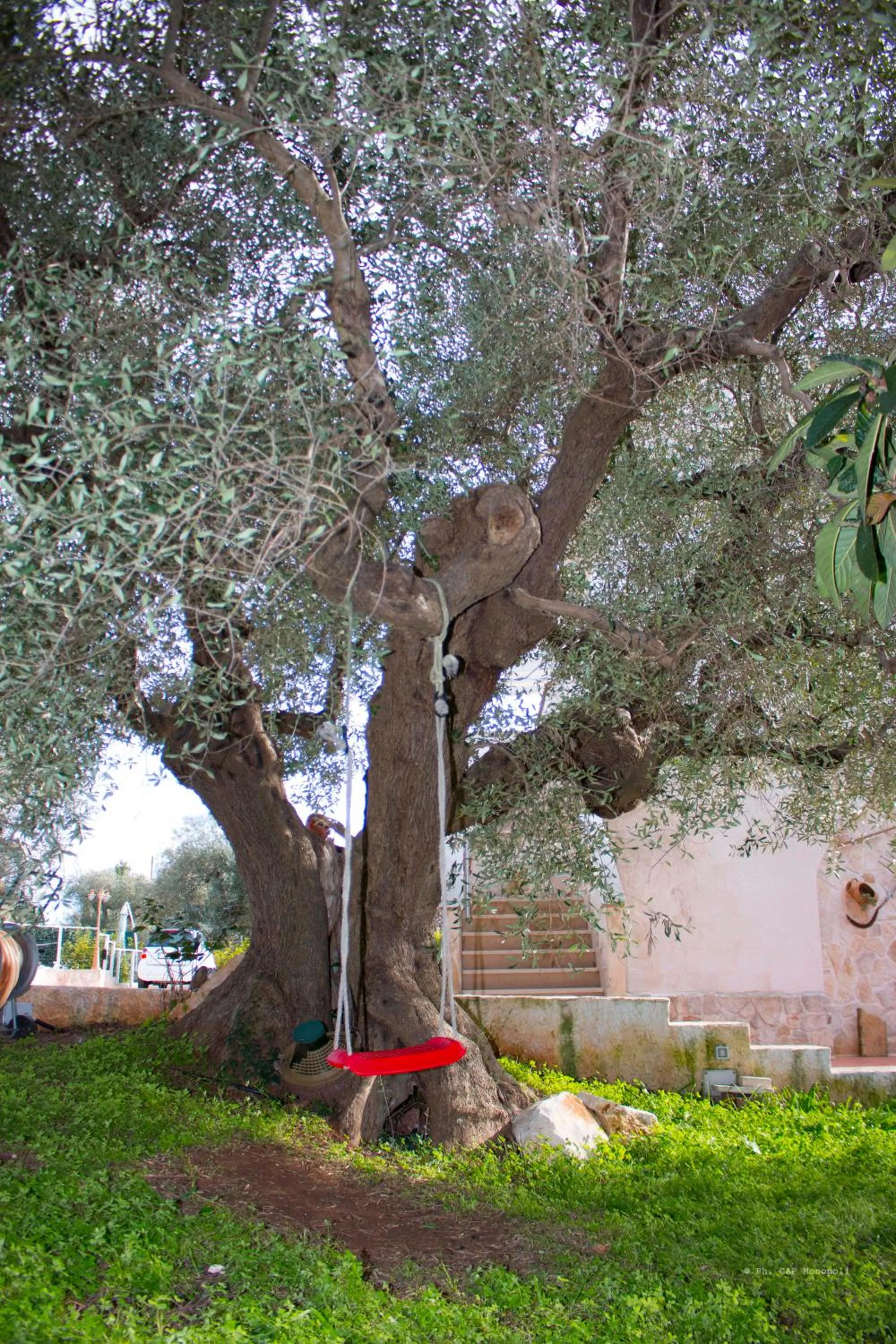 Garden in B&B Villa Nonna Maria