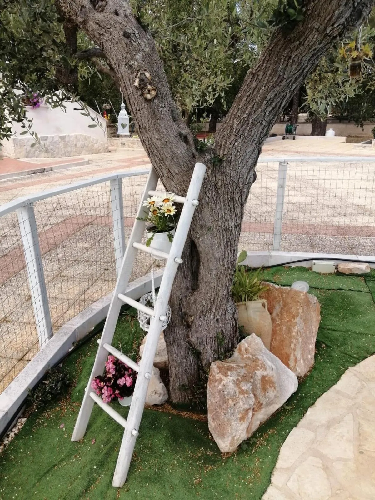 Garden in B&B Villa Nonna Maria