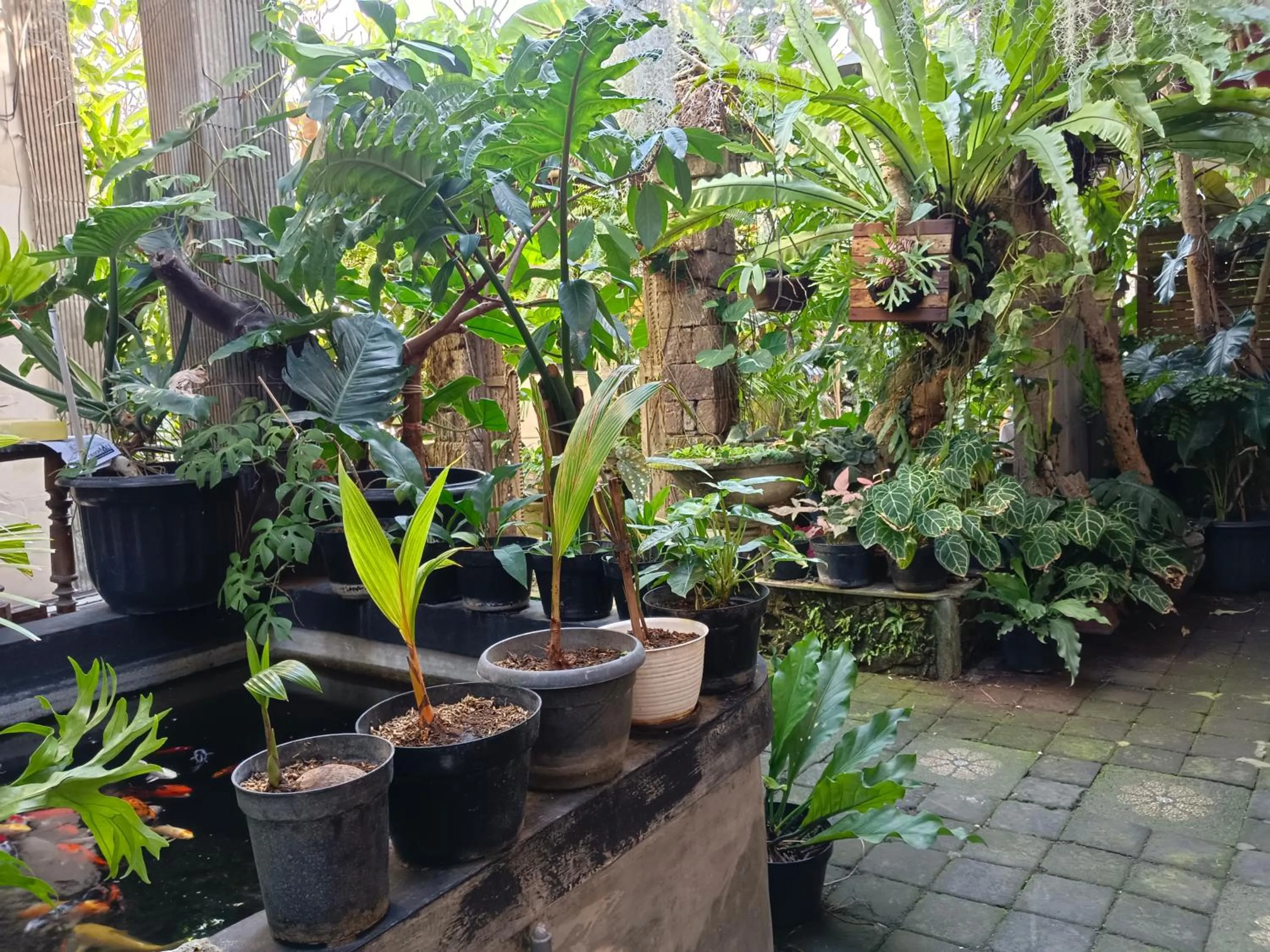 Garden in Double N Guesthouse Sanur Bali