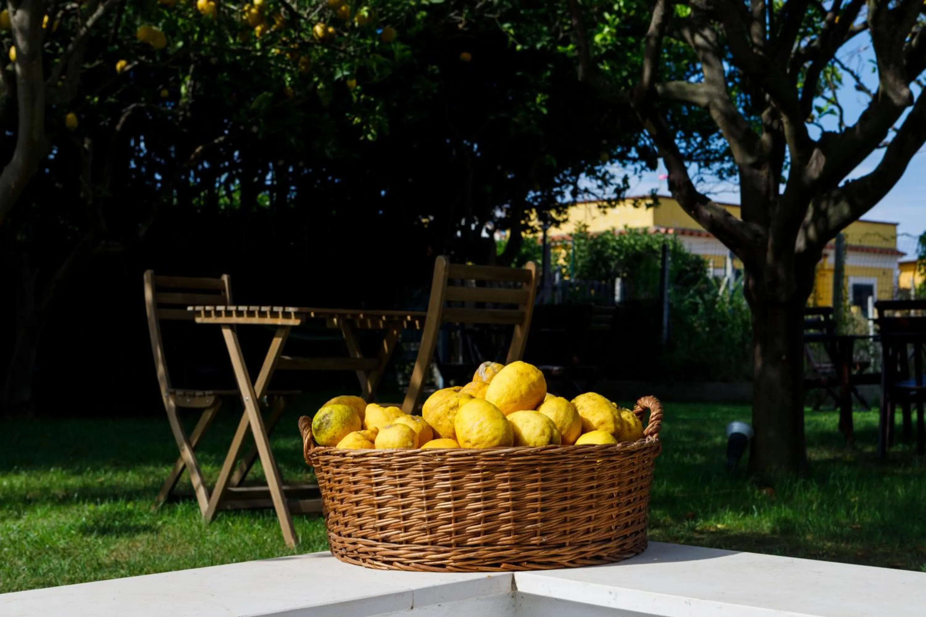 Garden in La Casa sul Faro