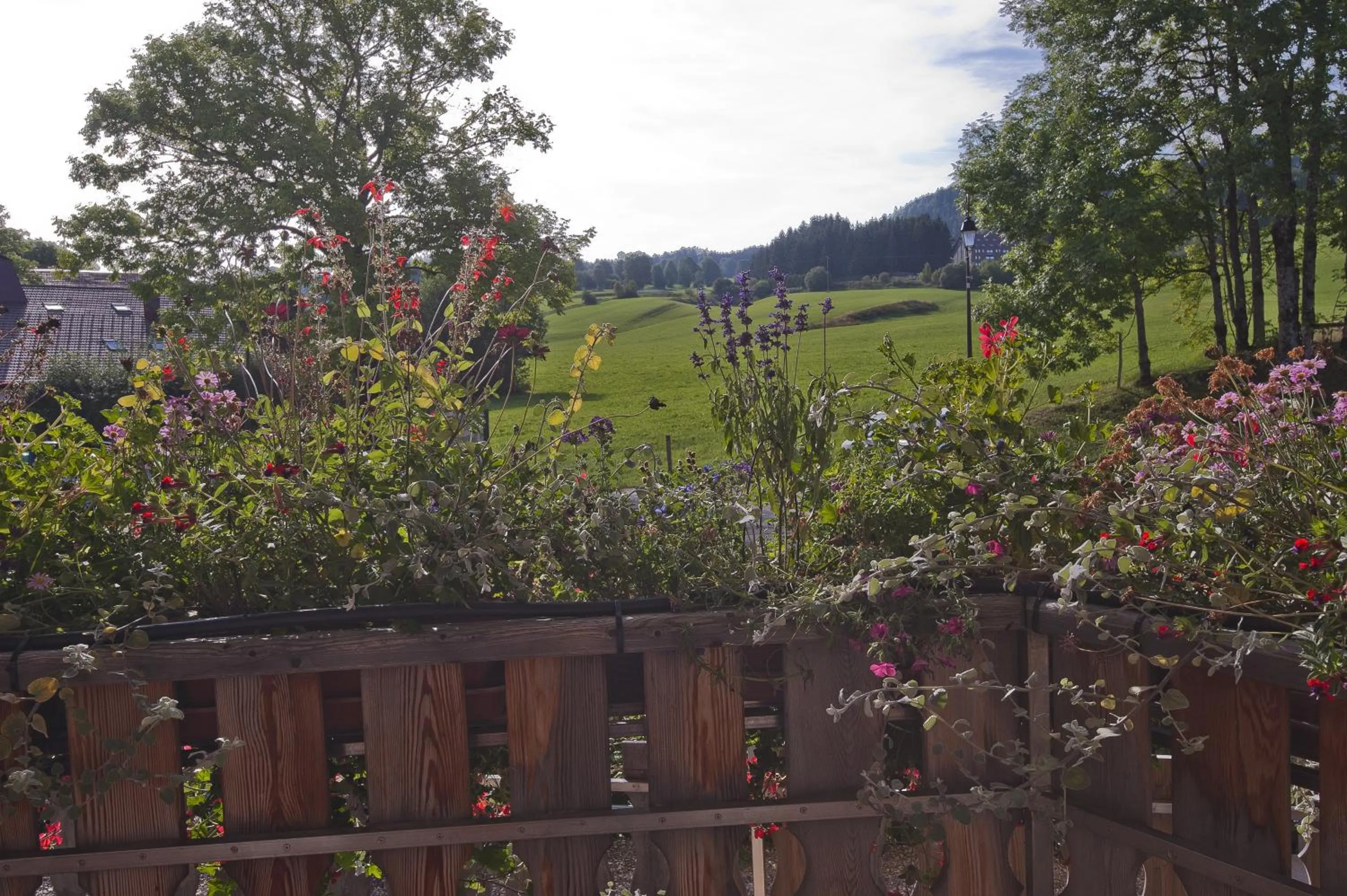 Garden in Etoile des Neiges Hôtel et Piscine