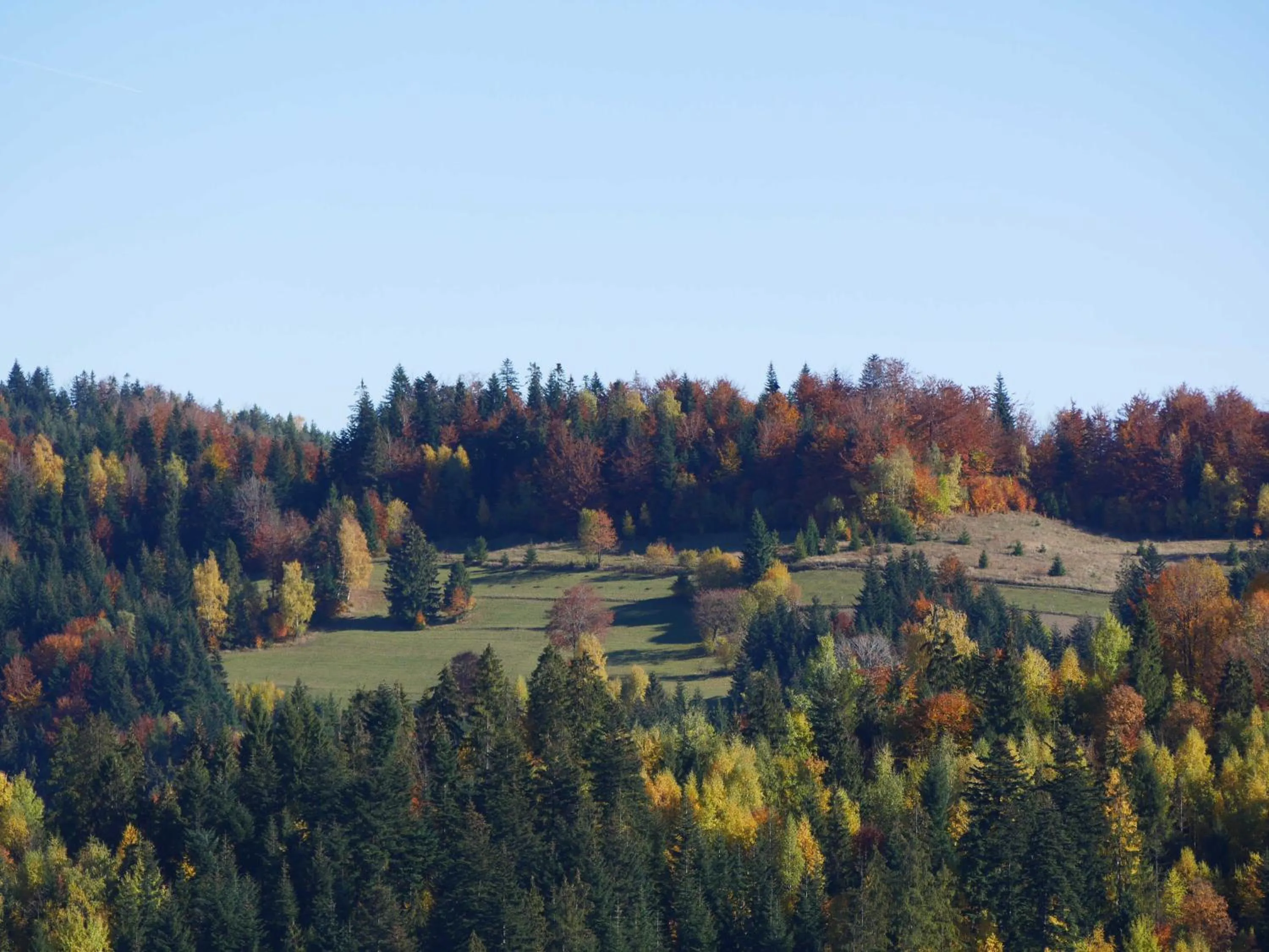 Autumn in Apartamenty przy Hotelu Żywieckim