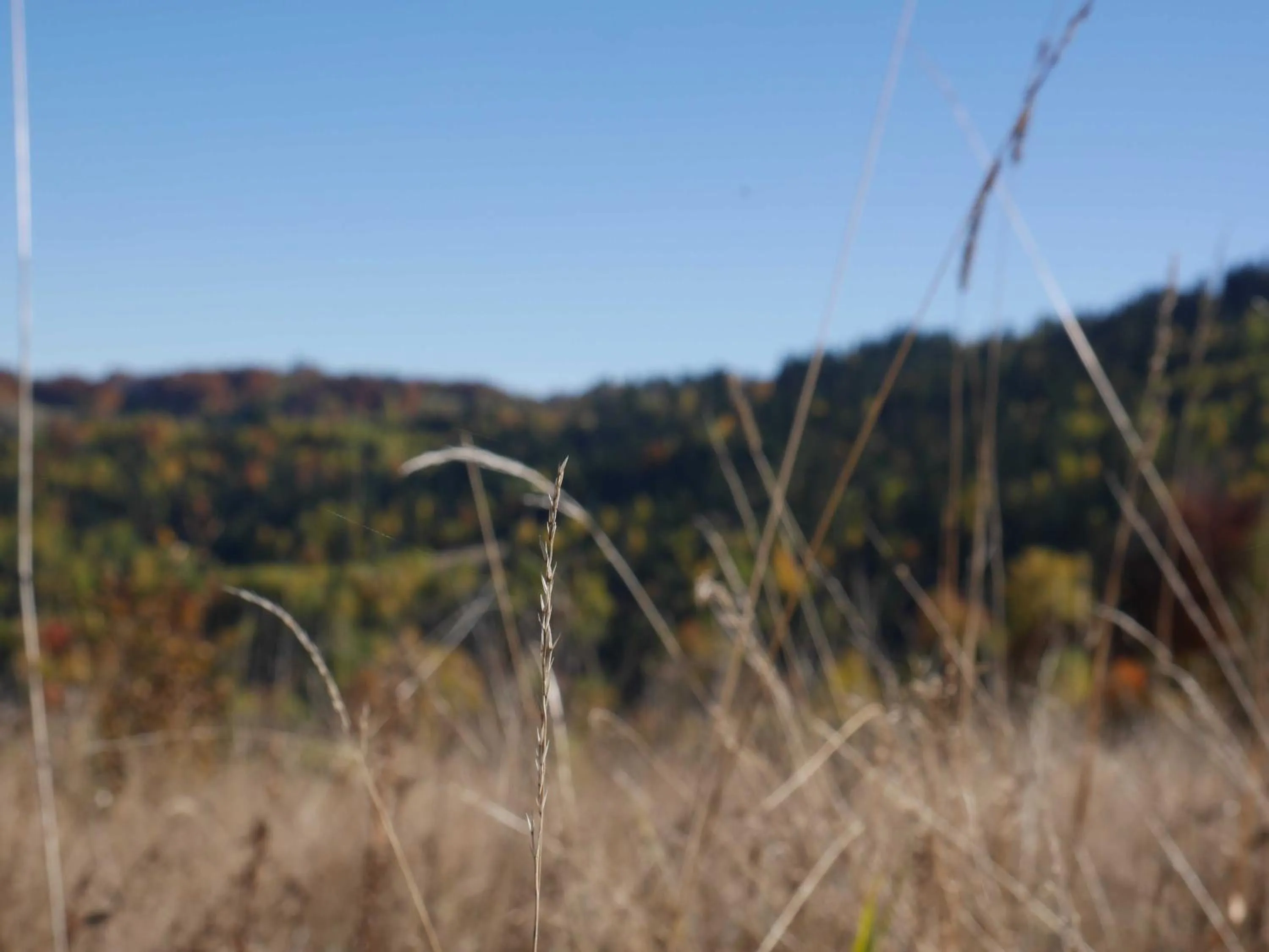 View (from property/room) in Apartamenty przy Hotelu Żywieckim