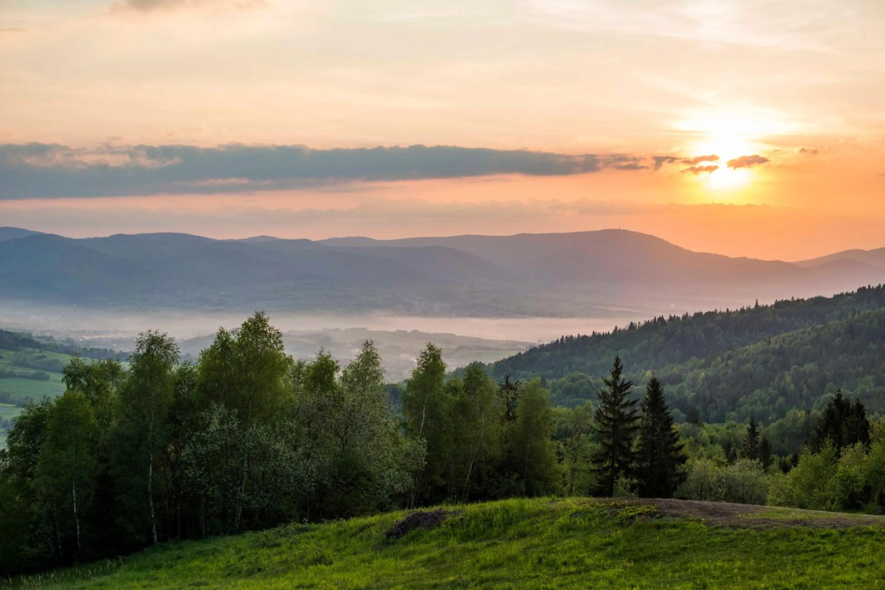 View (from property/room) in Apartamenty przy Hotelu Żywieckim