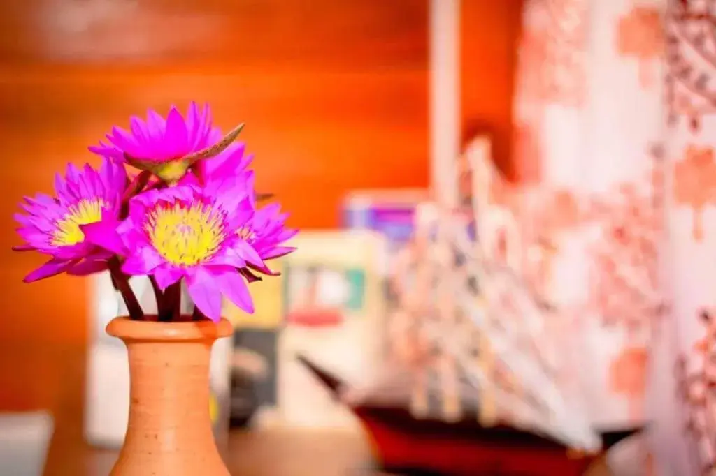 Budget Double Room in Talalla Freedom Resort Budget Double Room in Talalla Freedom Resort