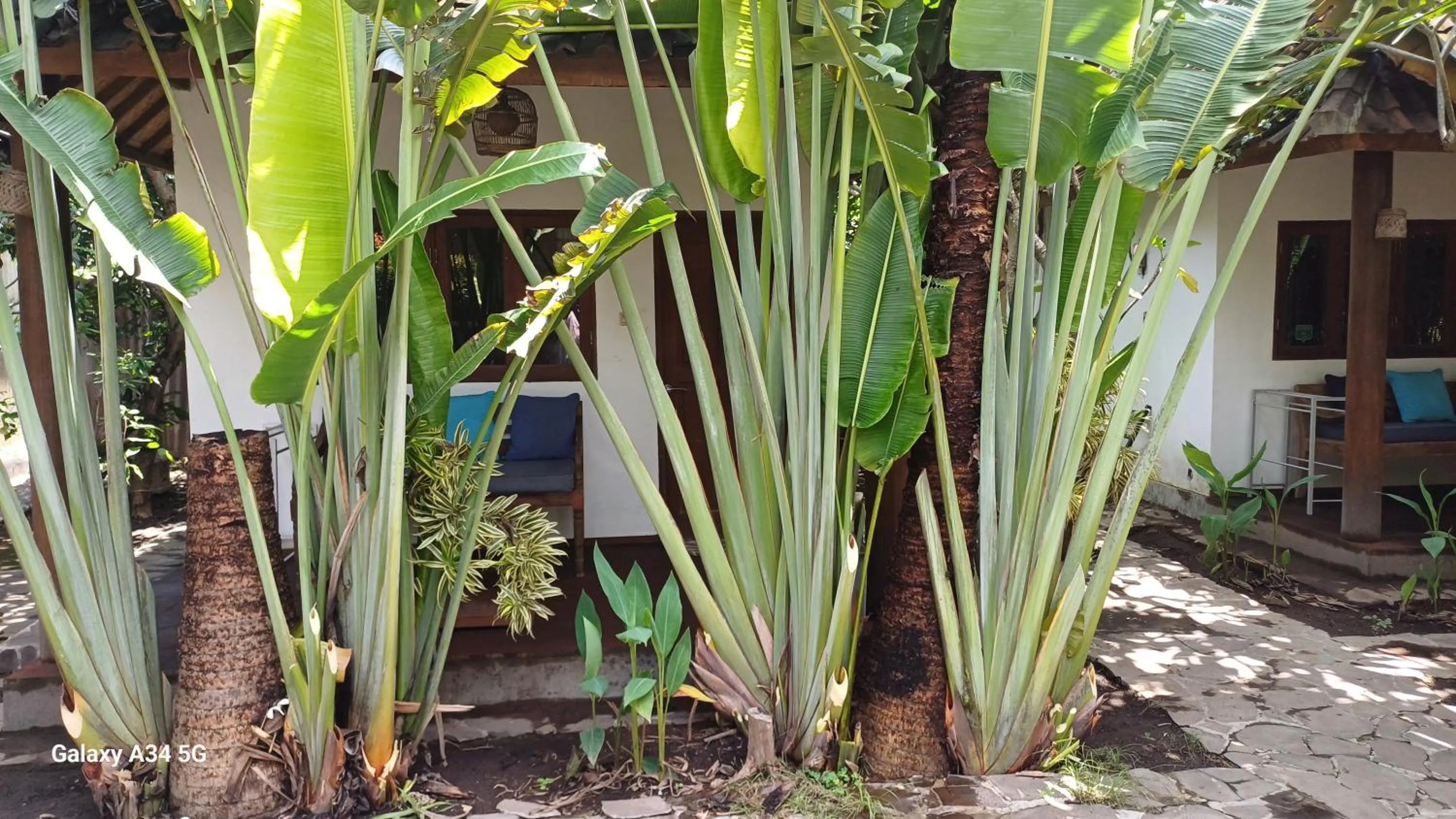 Garden view in Si Pitung Village