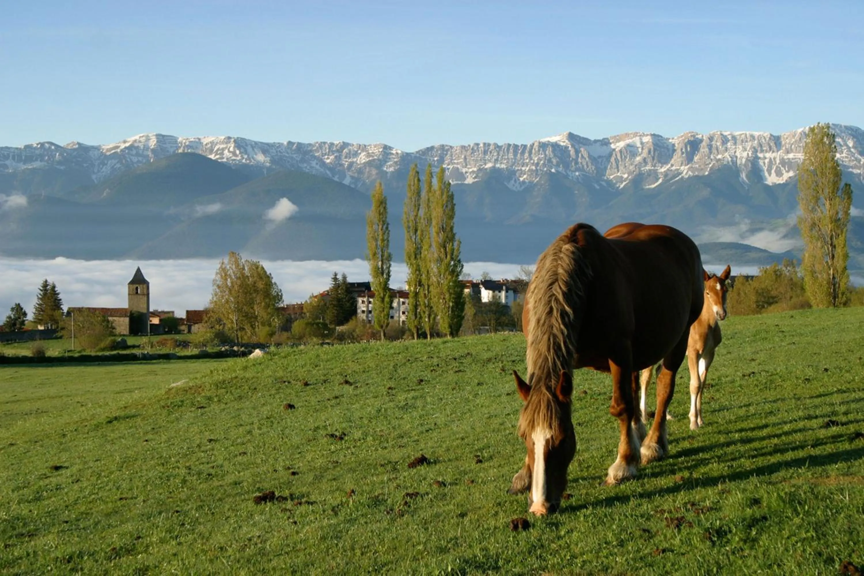 Nearby landmark in Hotel Mirador