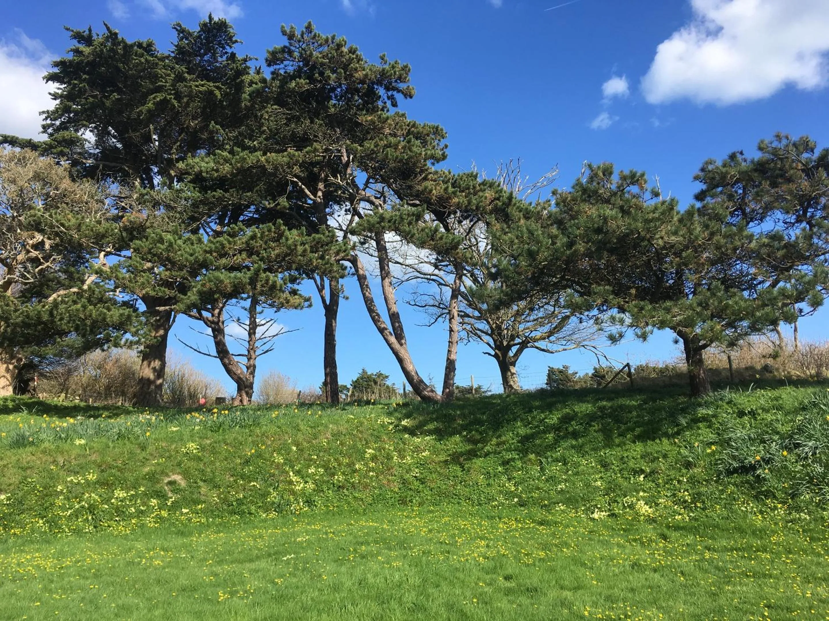 Property building in Lisle Combe