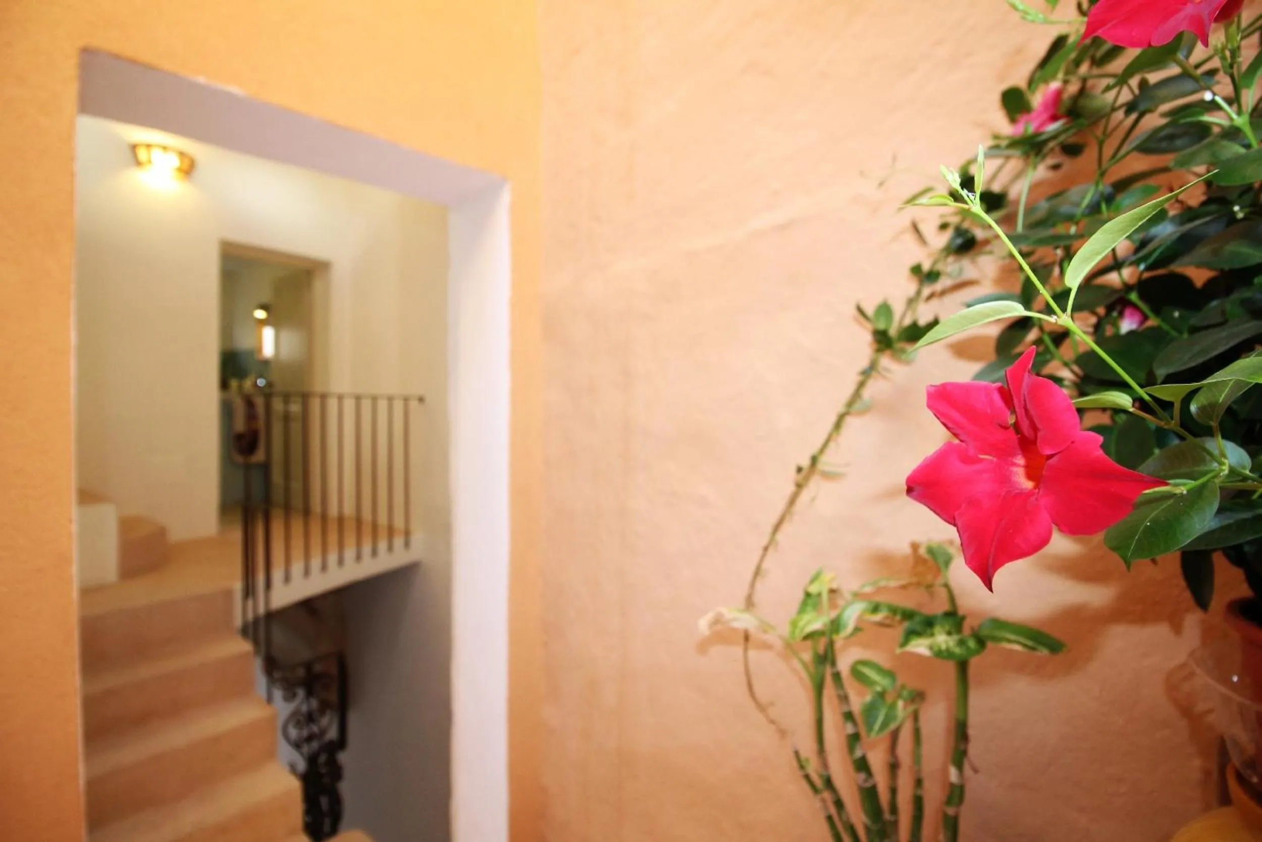 Property building in Dimora San Leuci by LoveSud