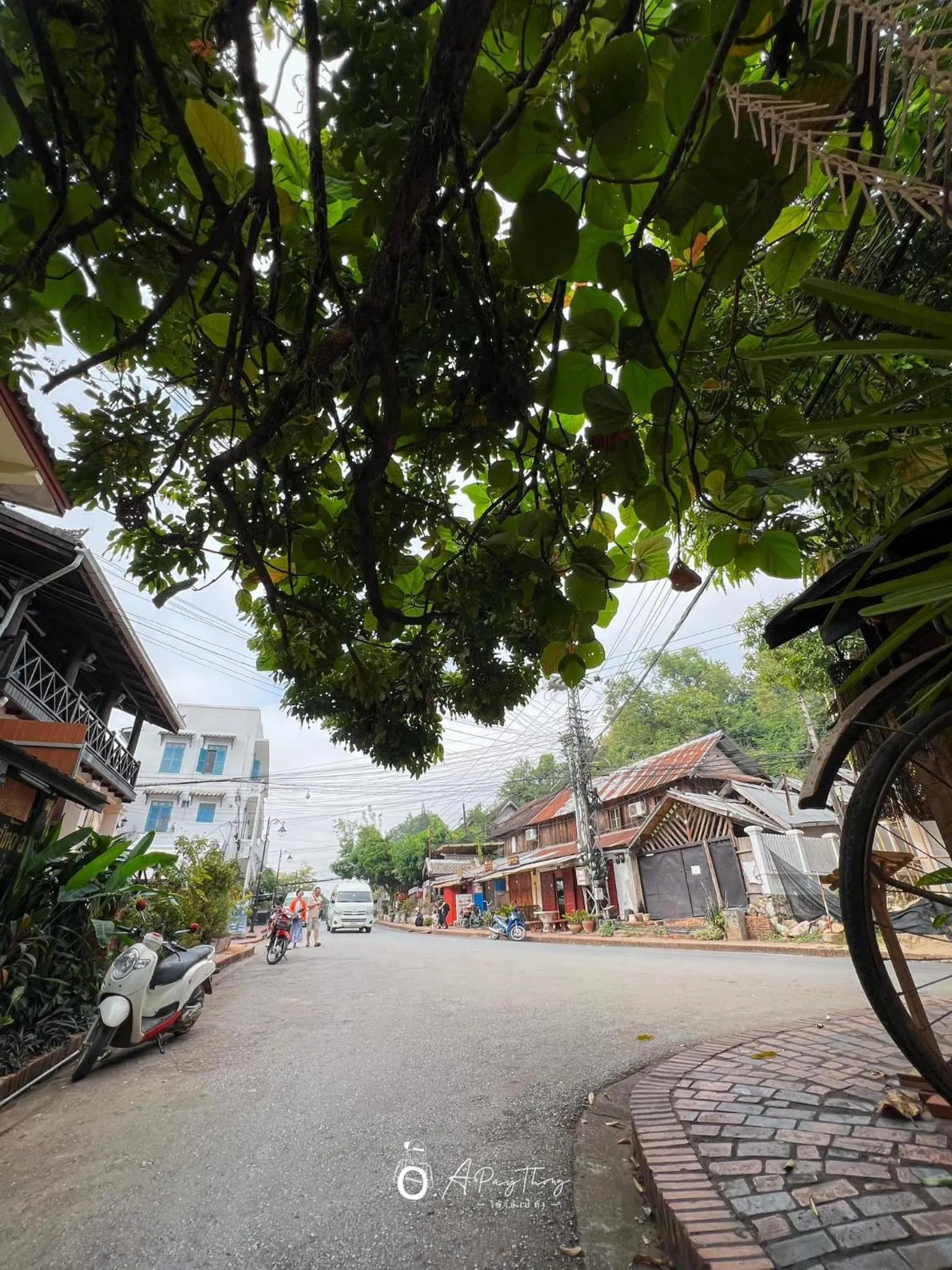 Neighbourhood in SamaiLaos Residence