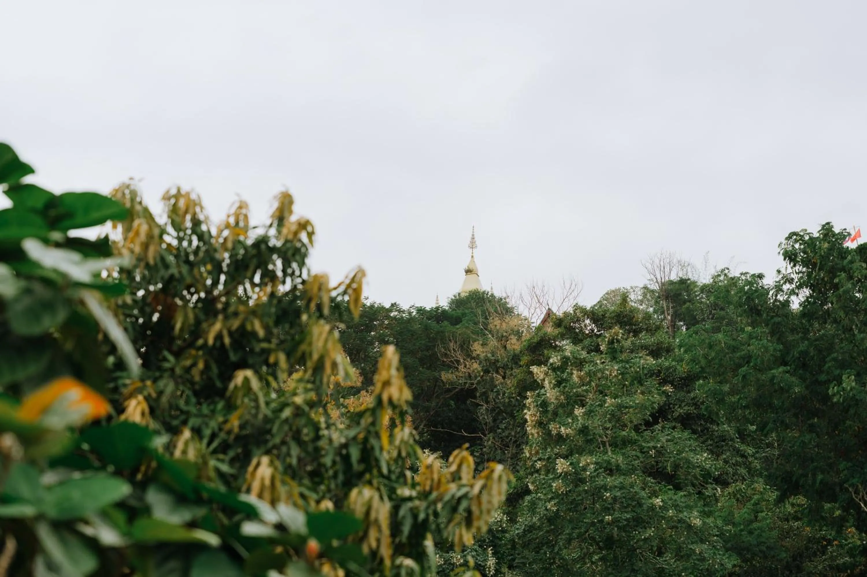 Day in SamaiLaos Residence