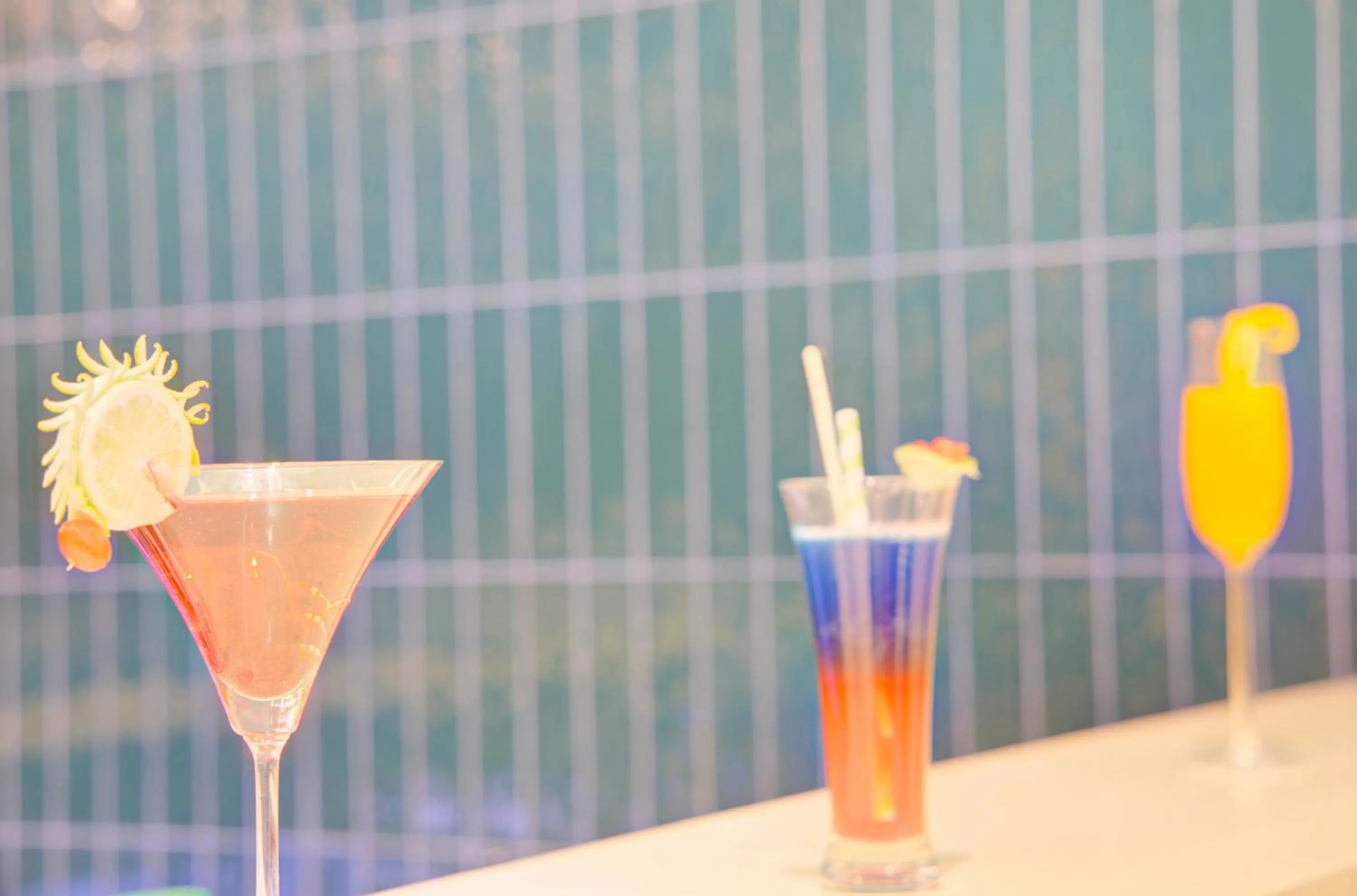 Lounge or bar in Cygnett Inn