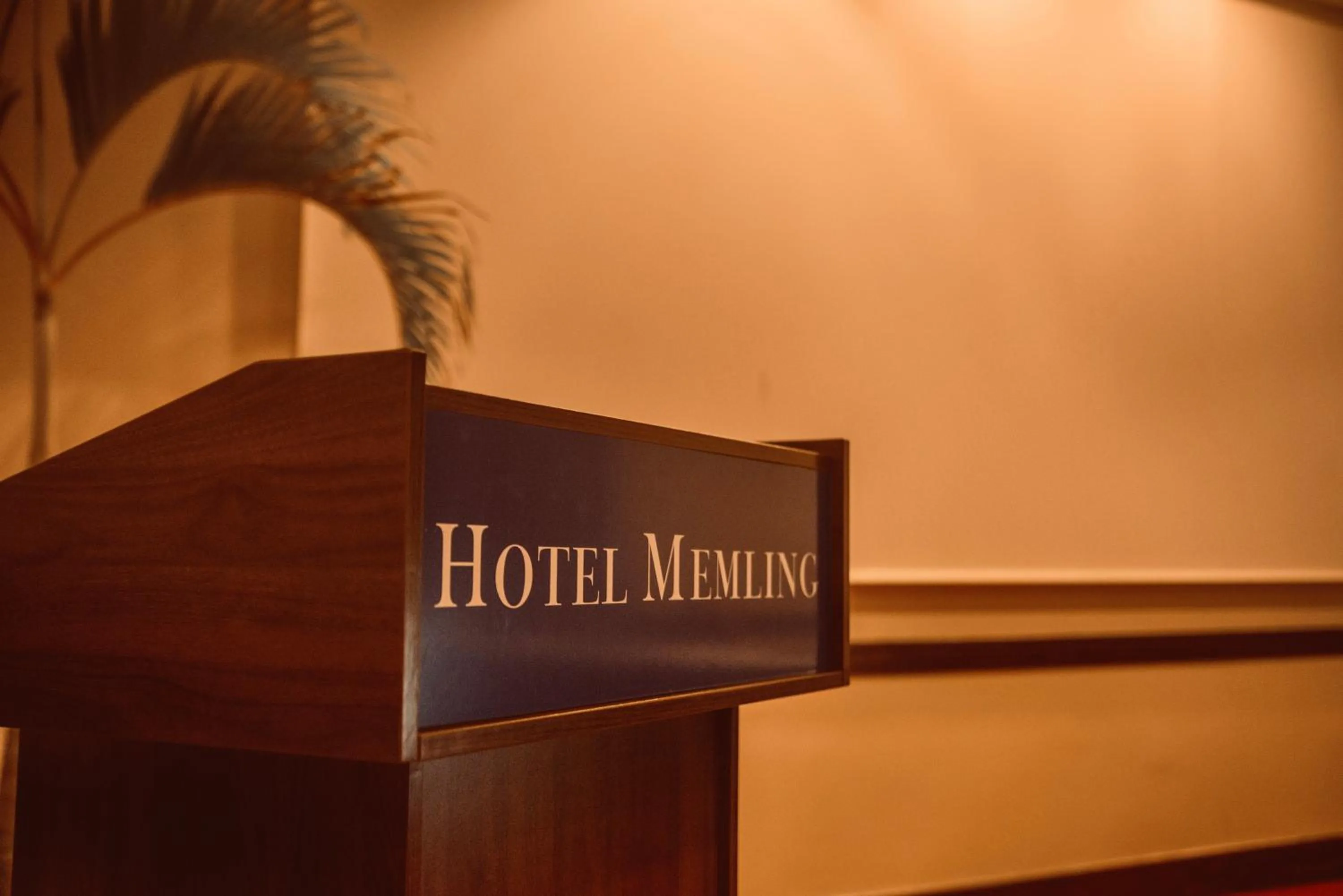 Banquet/Function facilities in Hotel Memling