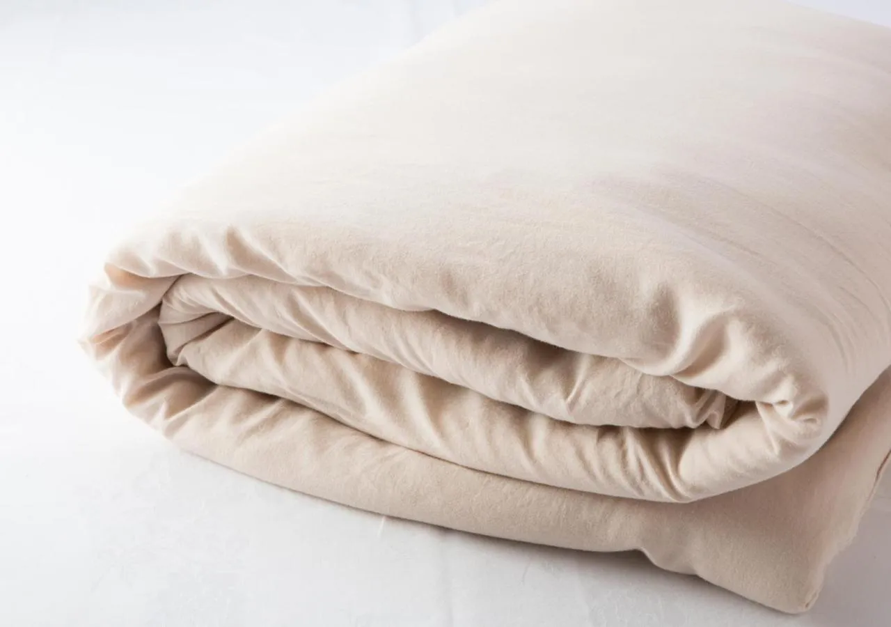 Other, Bed in Hotel Claiton Esaka