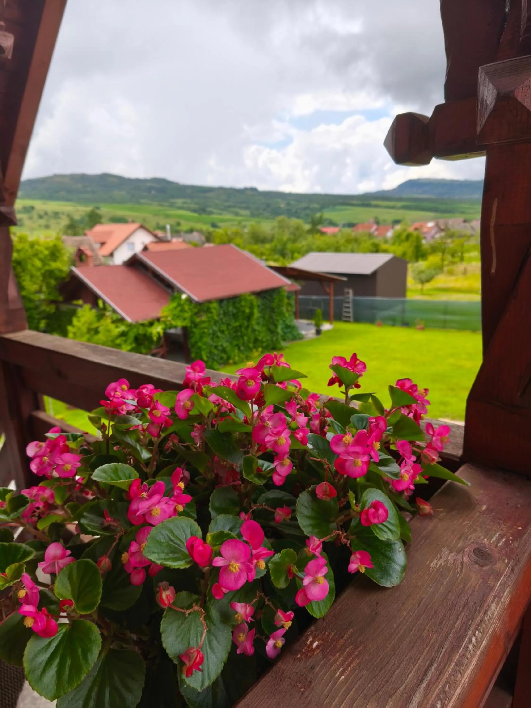 Garden view in Nárcisz B&B