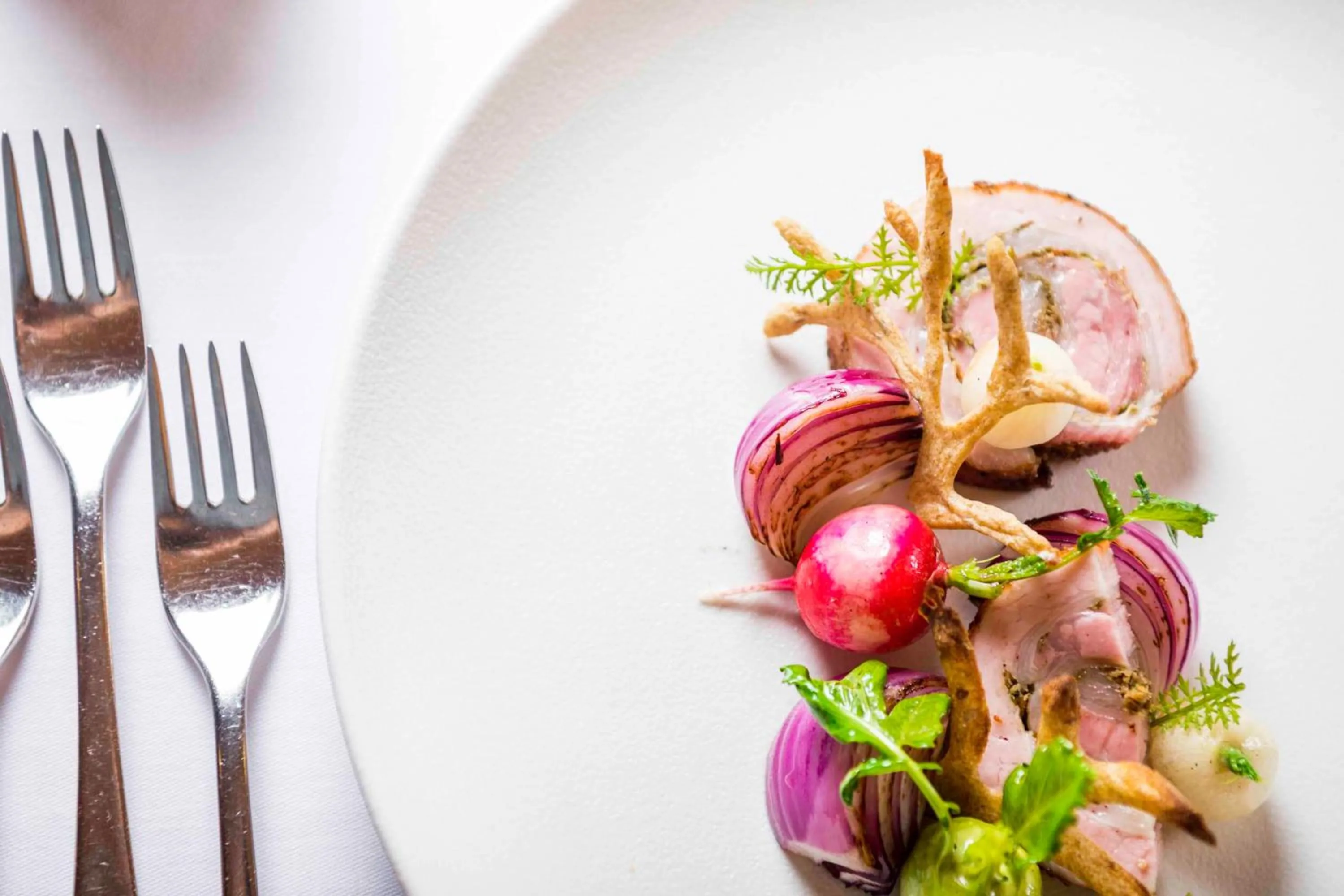 Restaurant/places to eat in Hotel Rommisa