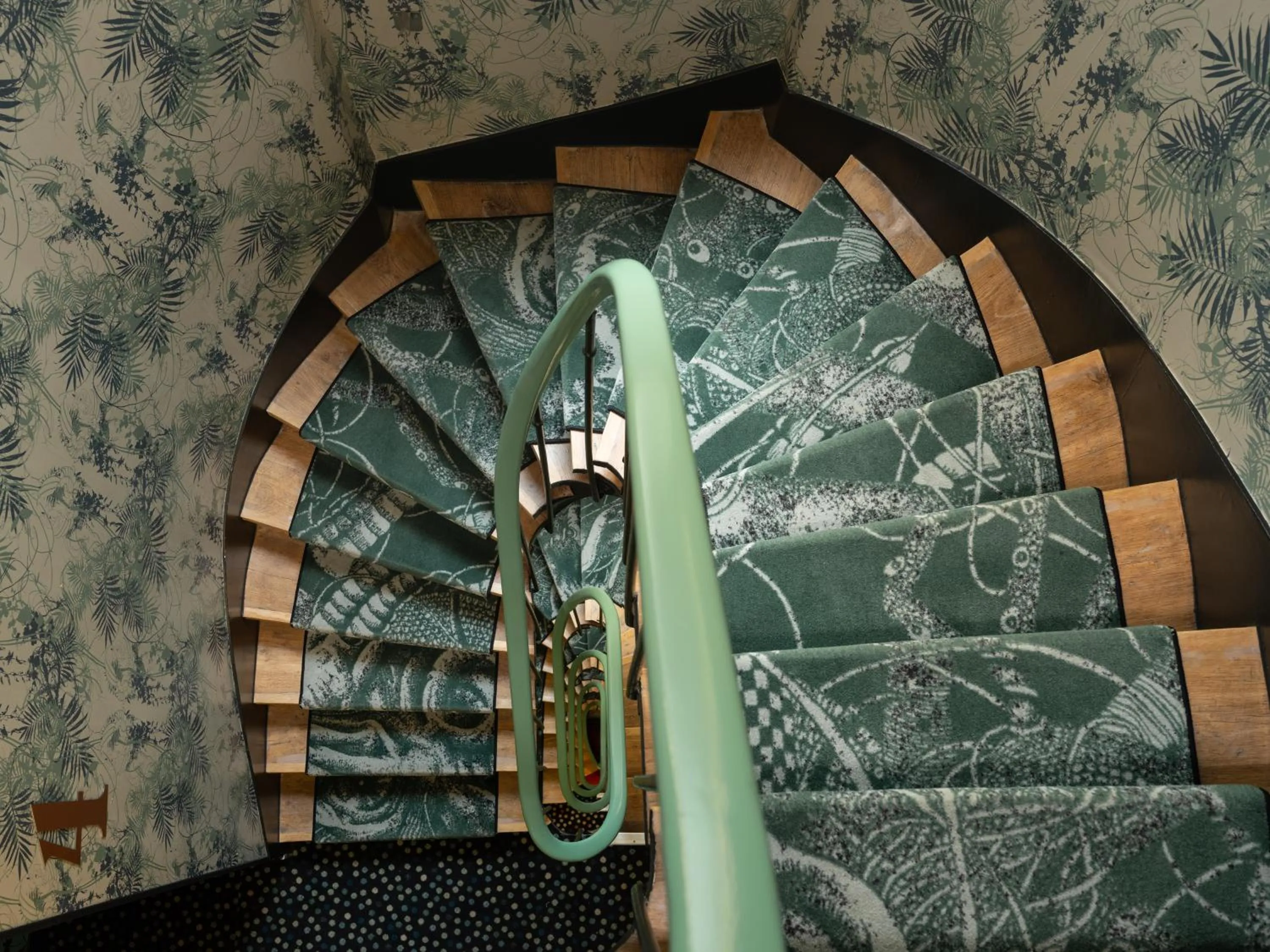 Area and facilities in Hôtel Exquis