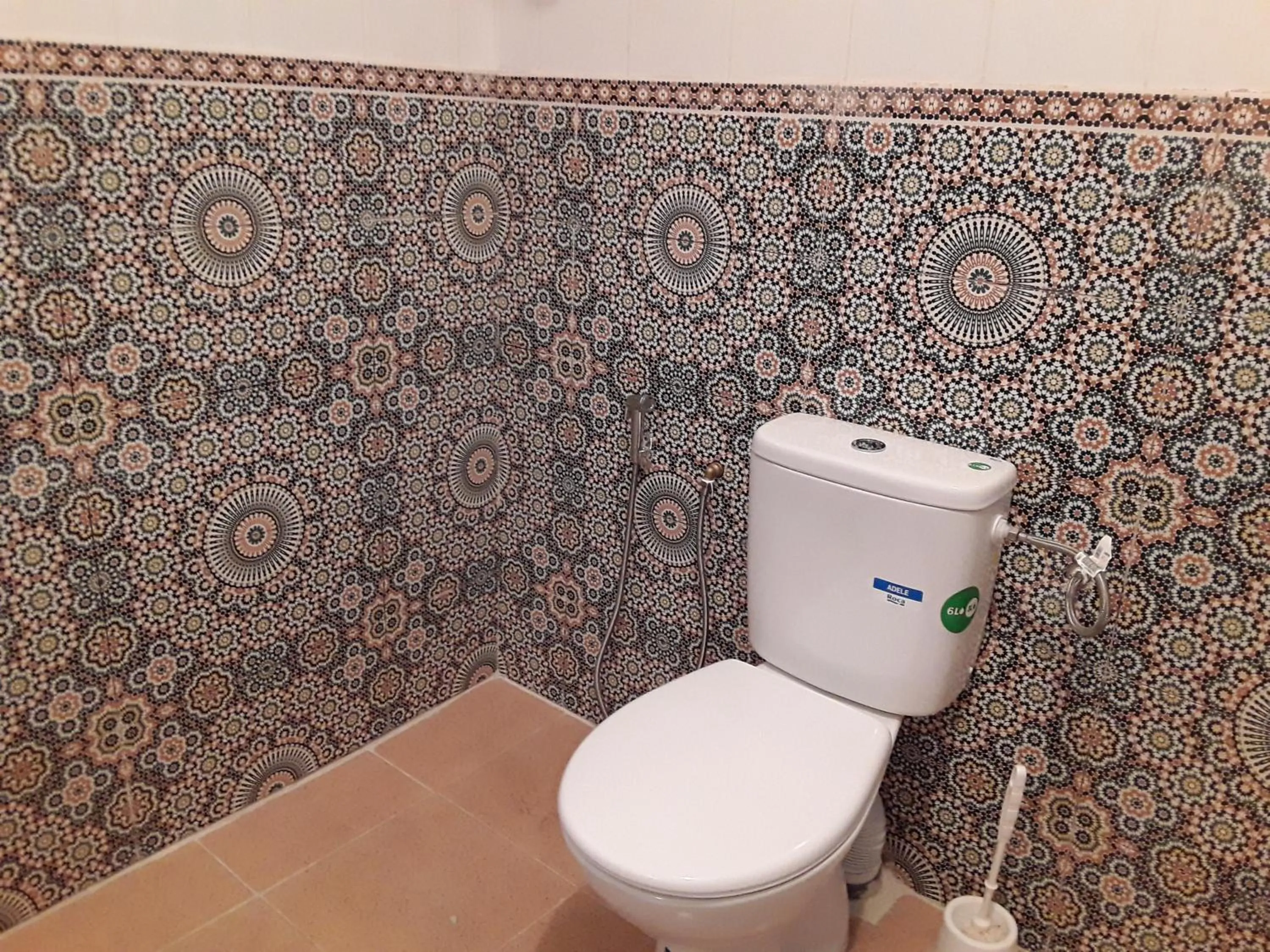 Toilet in Maison d'Hôte à Saïdia