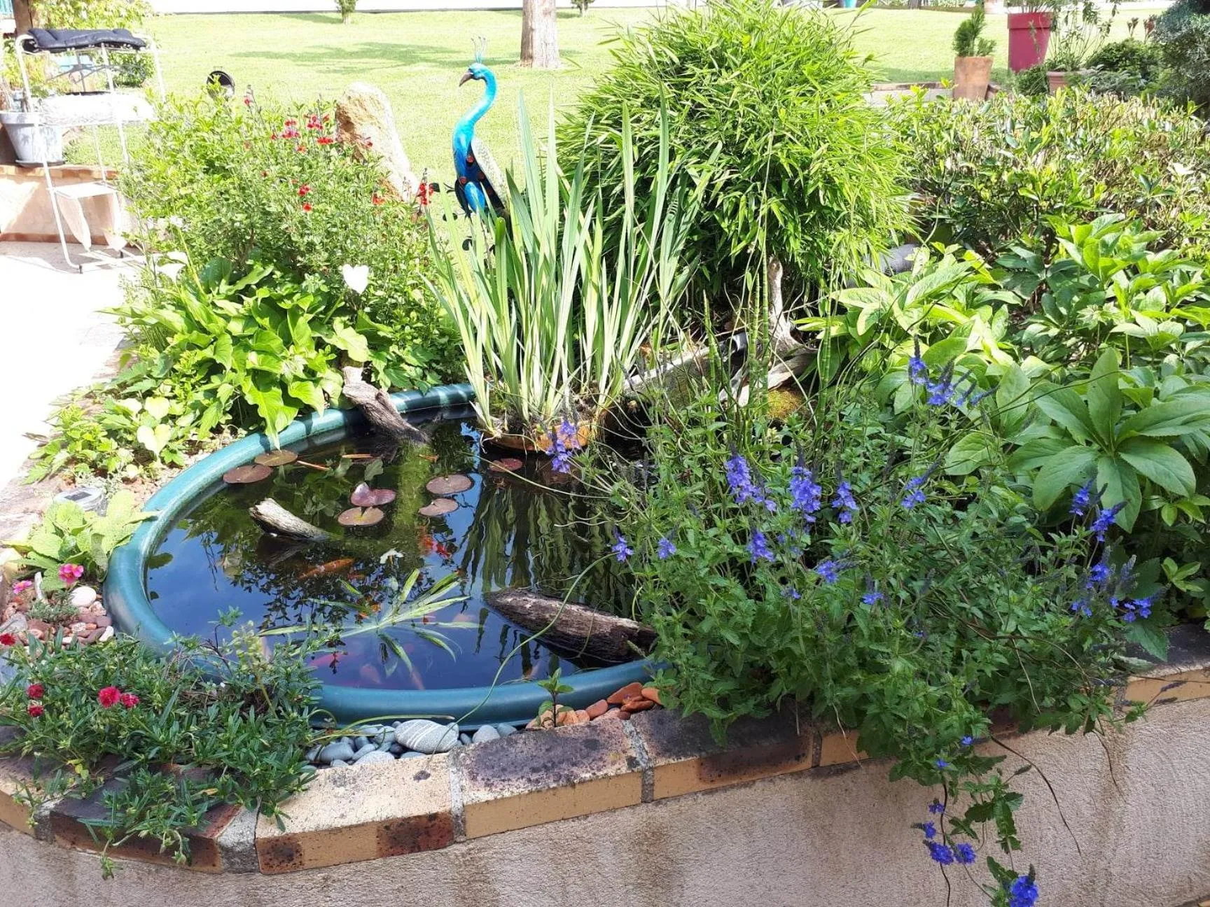 Garden in Chambre D'hôte De La Rotterie