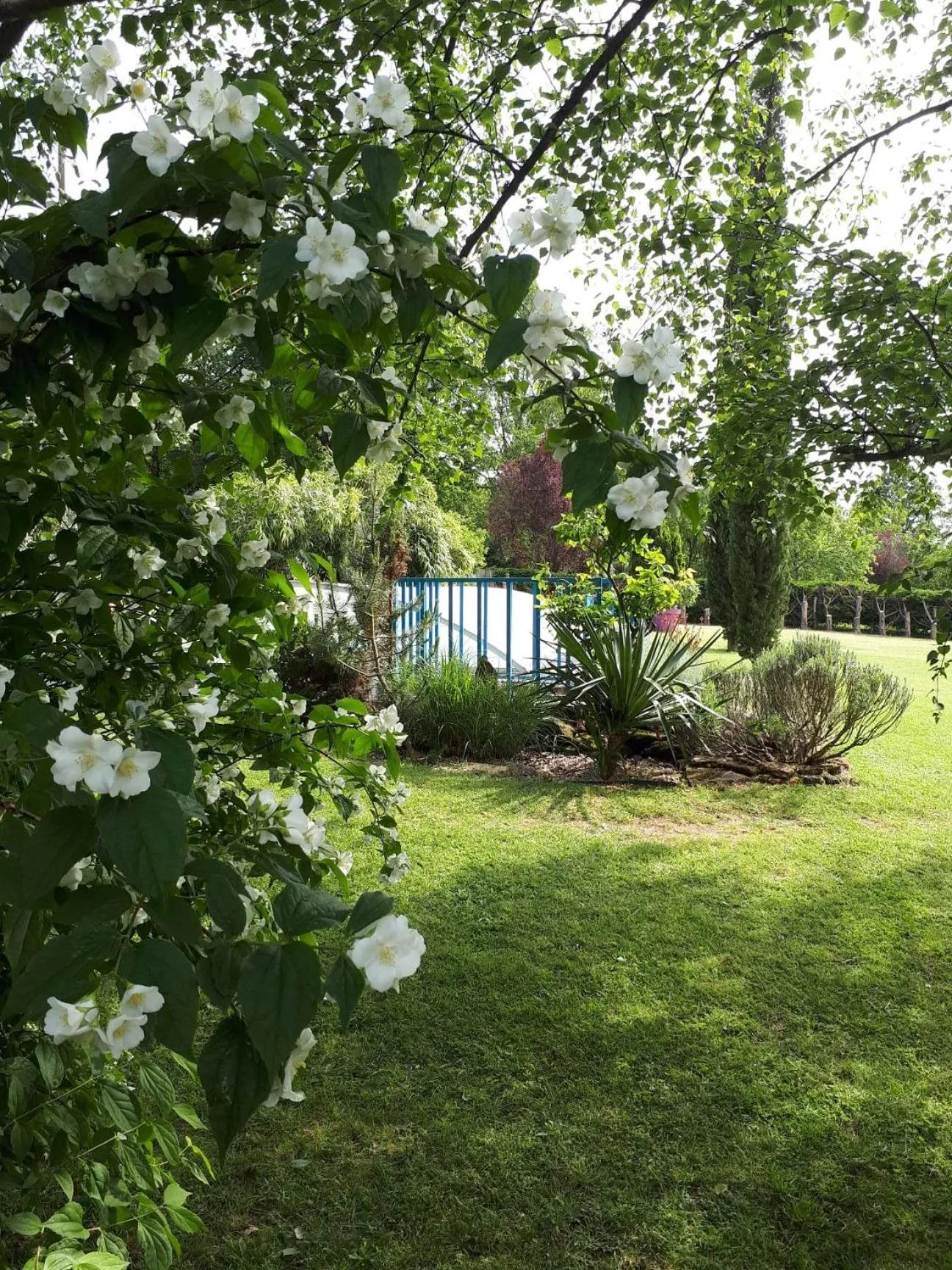 Garden in Chambre D'hôte De La Rotterie