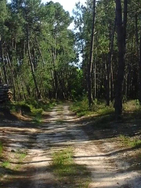 Landmark view in Chambre D'hôte De La Rotterie
