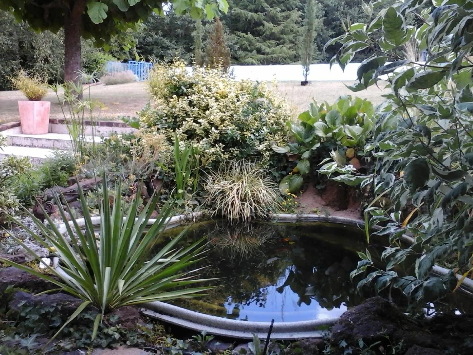 Garden view in Chambre D'hôte De La Rotterie
