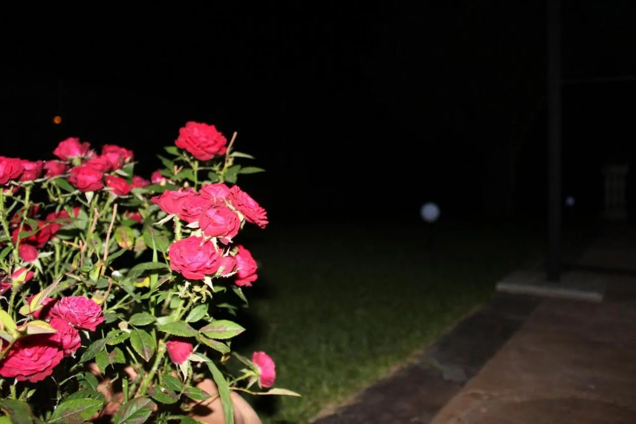 Hotel Ristorante L'Avvenire