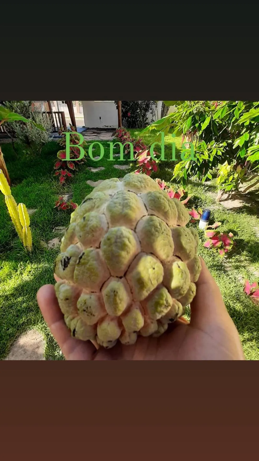 Garden in Gostoso Sol e Mar Pousada