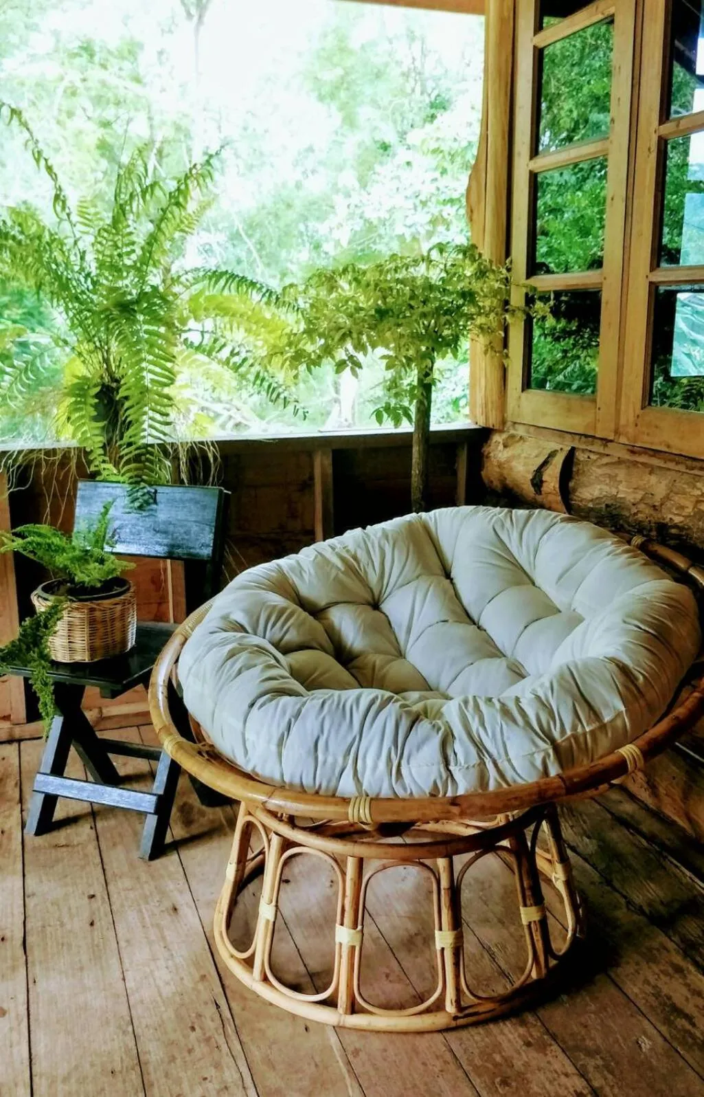 Balcony/Terrace in Baanmai Phaipa House