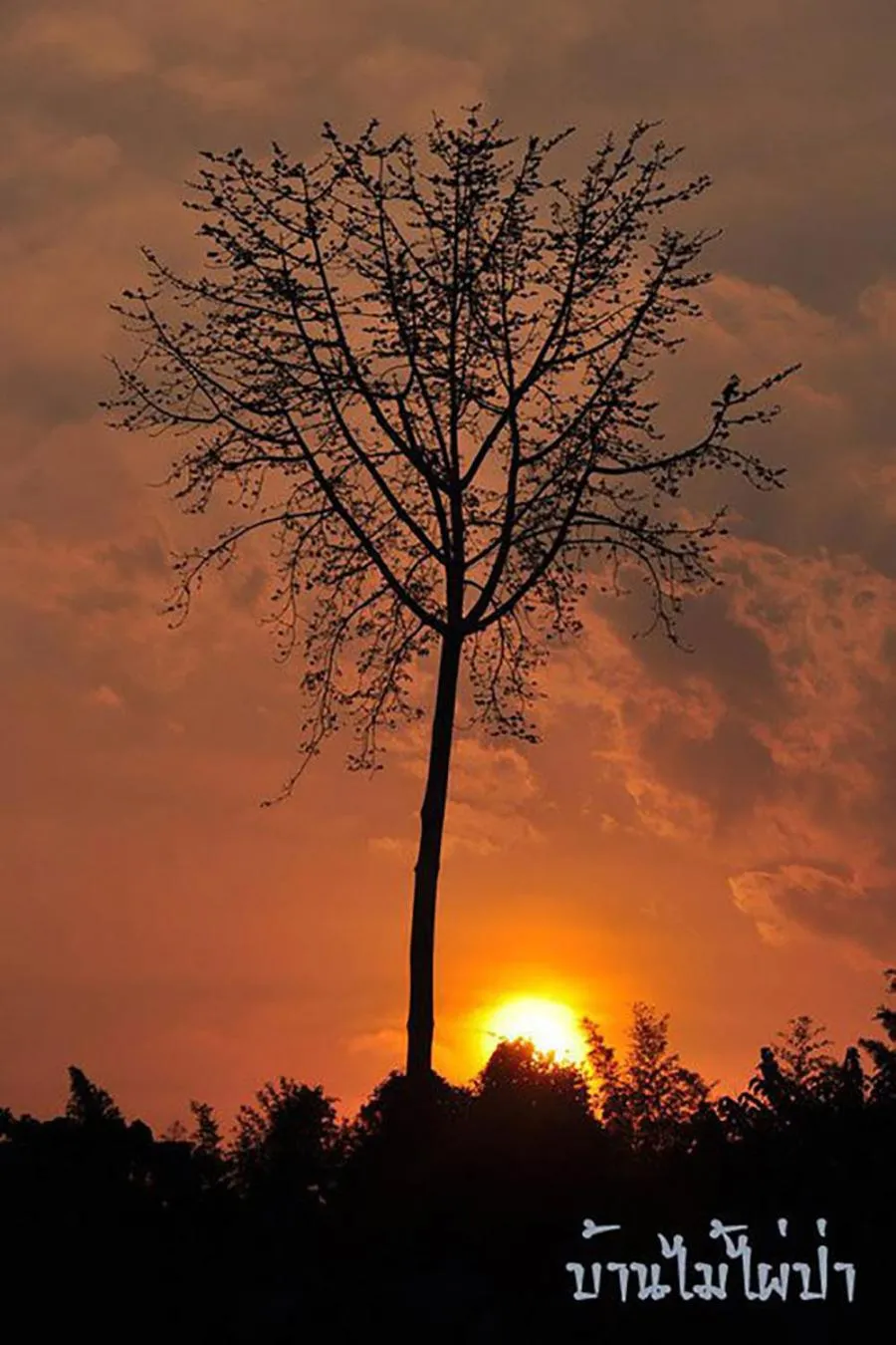River view in Baanmai Phaipa House