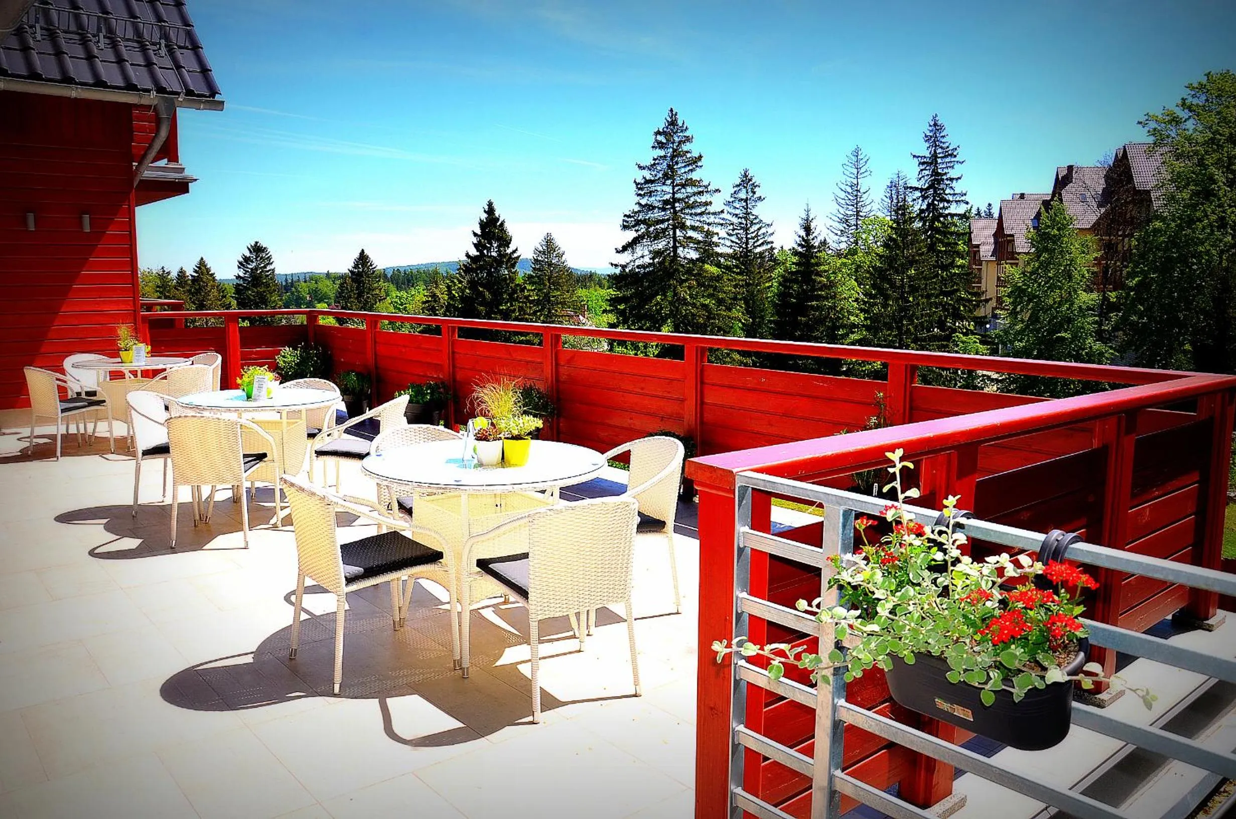 Balcony/Terrace in Hotel Willa Odkrywców