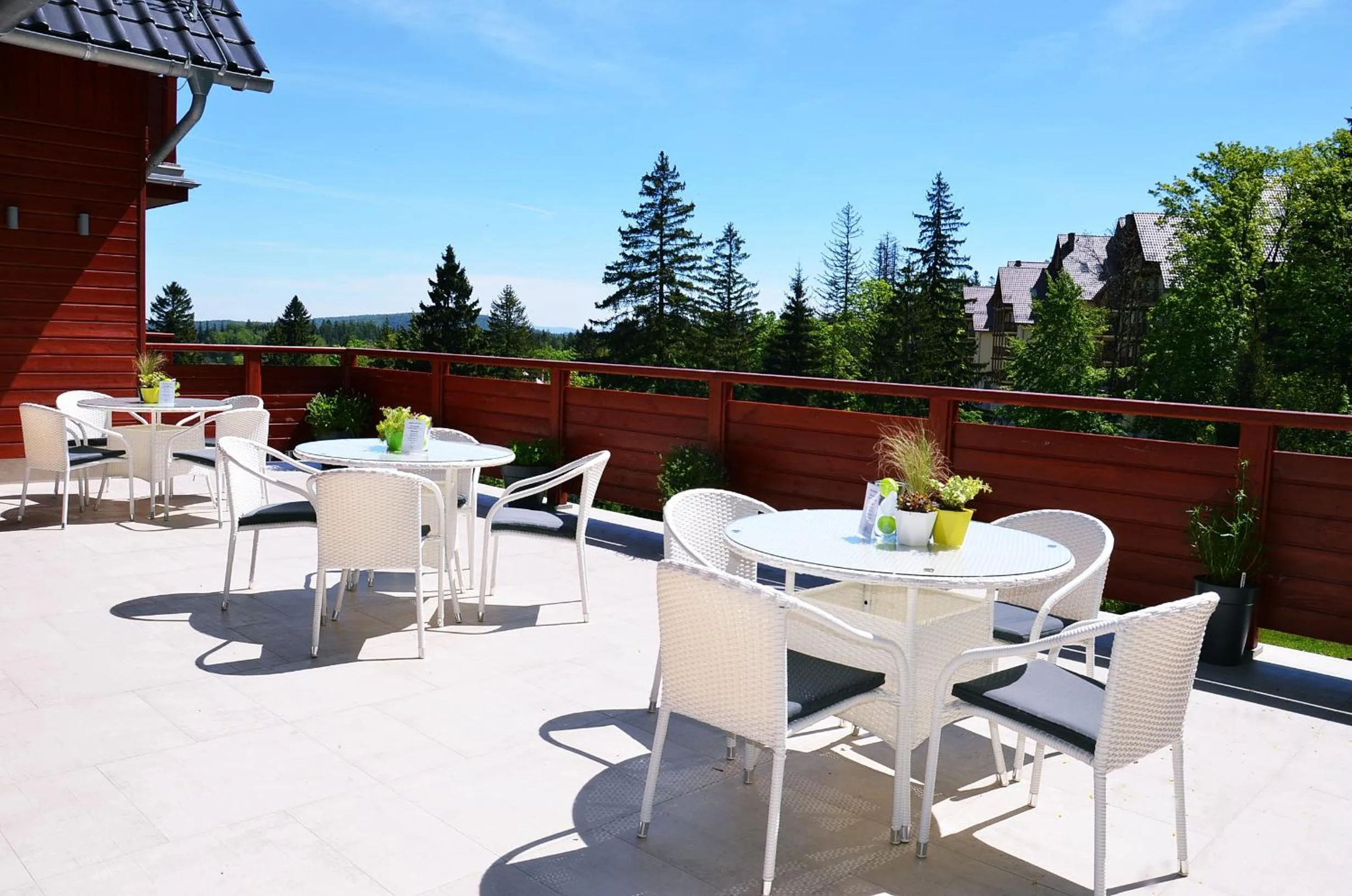 Balcony/Terrace in Hotel Willa Odkrywców