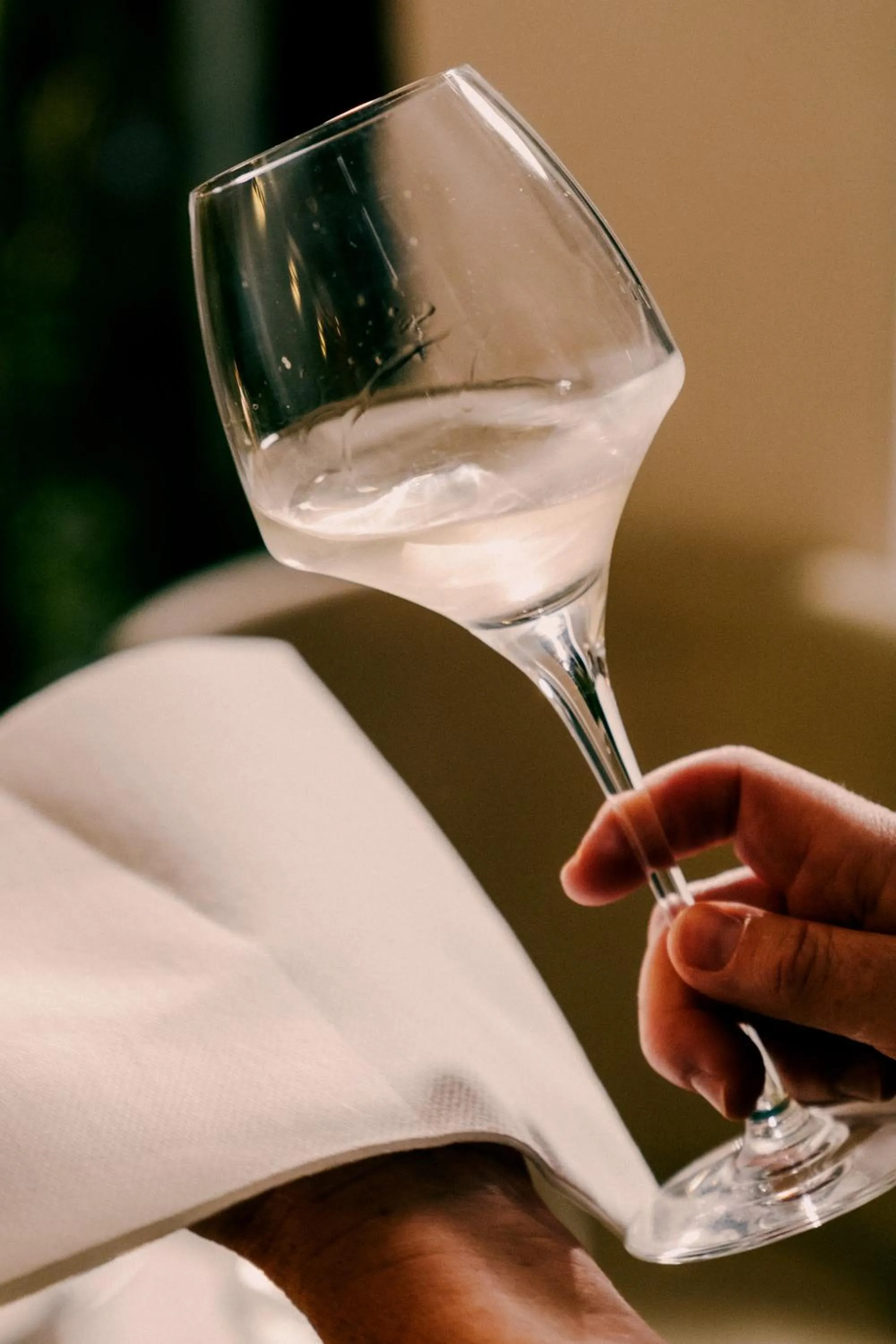 Restaurant/places to eat in Hotel Willa Odkrywców