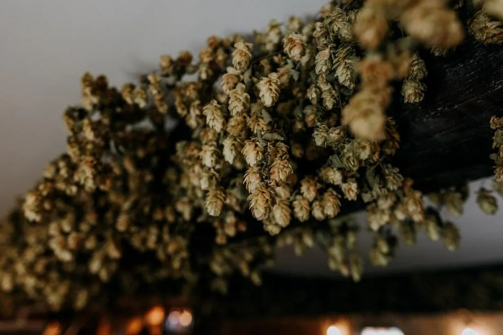 Lounge or bar in The Ferry House